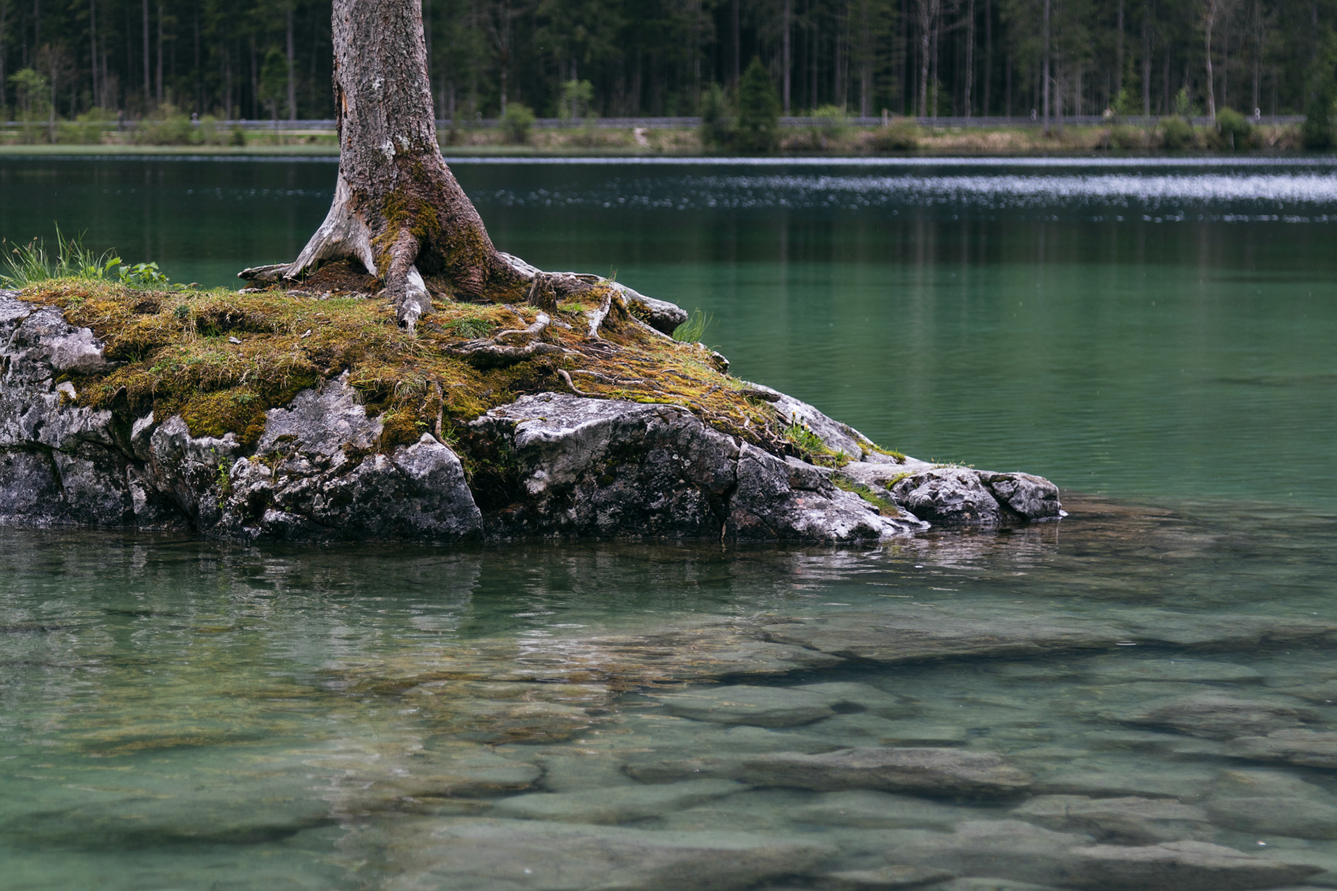 Am Hintersee 07, Bayern, 2021