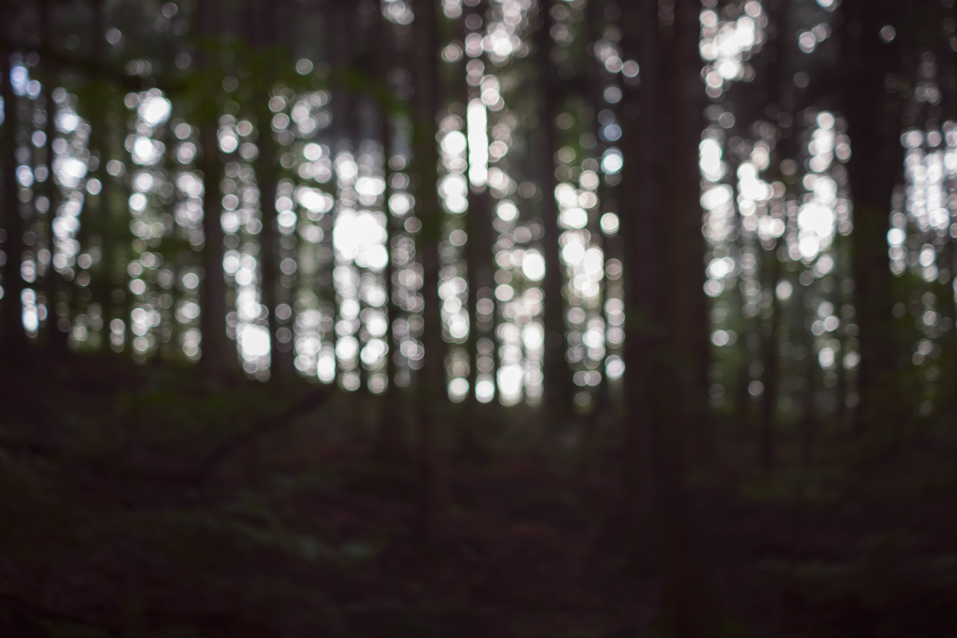 Mühlebächle X, Baden-Würtemberg, 2021