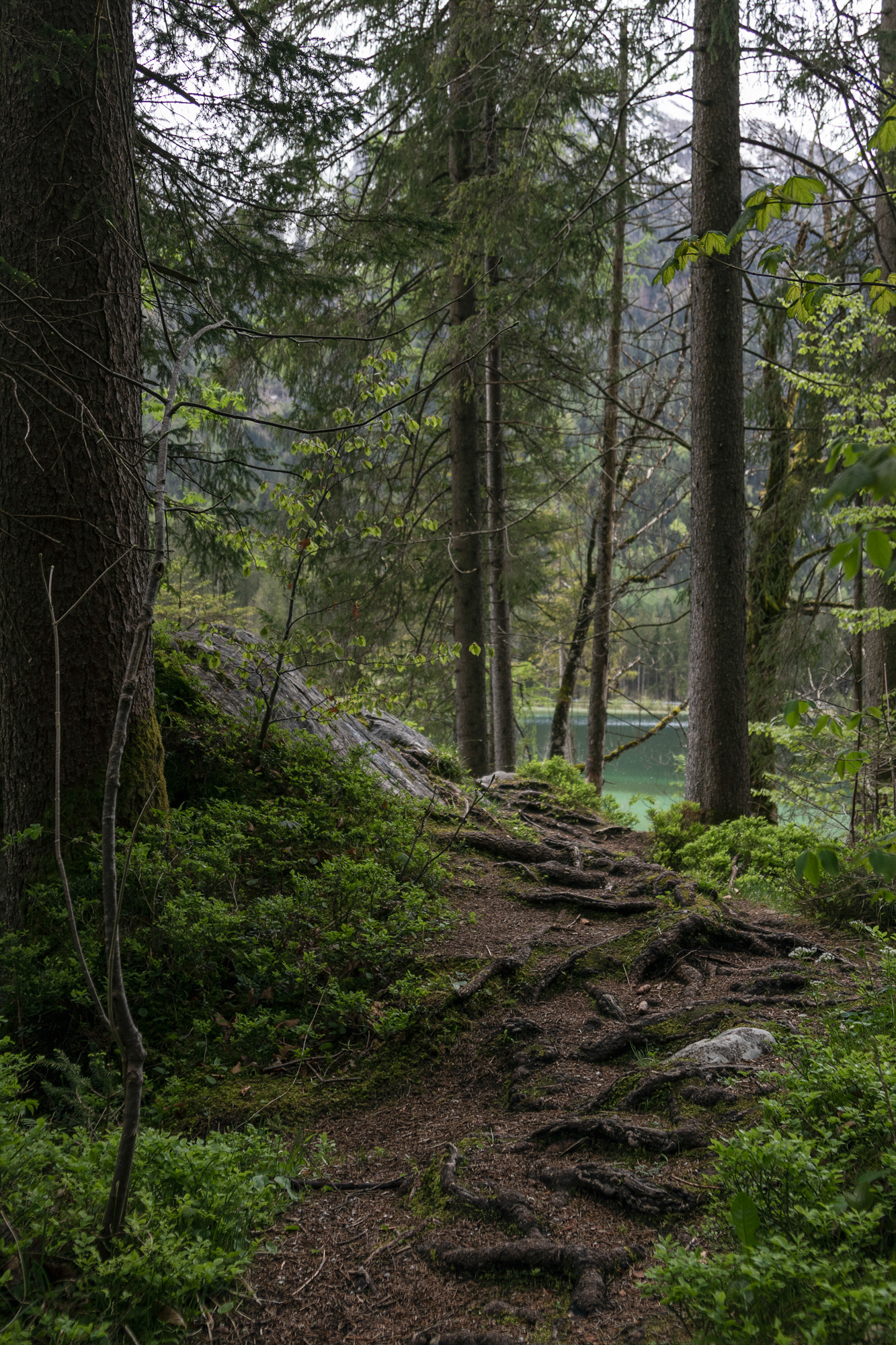 Am Hintersee 06, Bayern, 2021