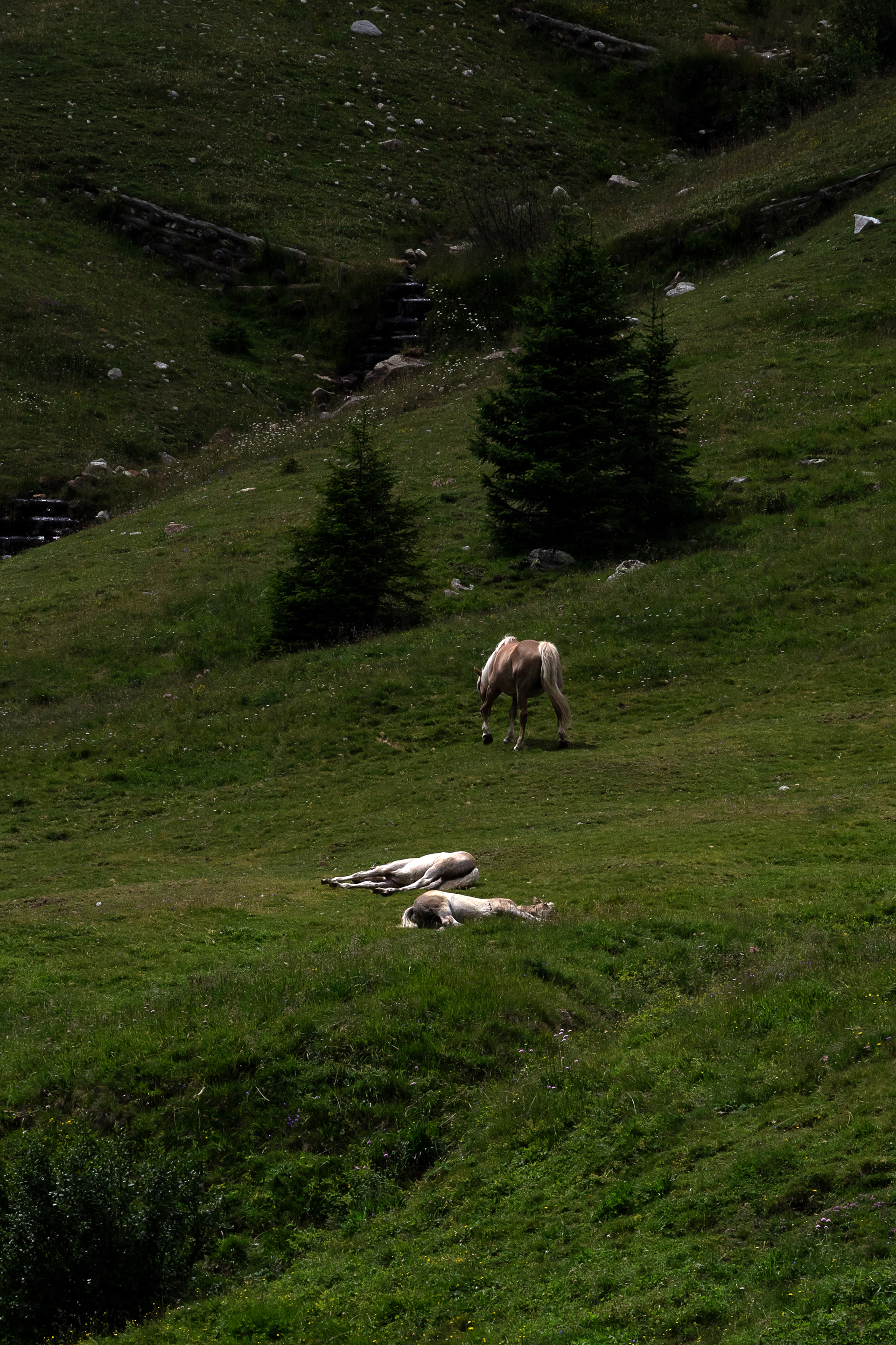 Aussicht VIII - Meran, E5, 2019