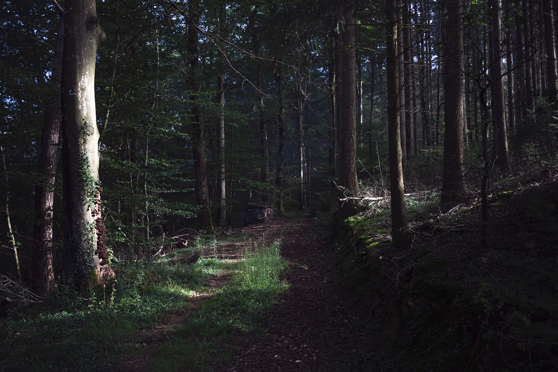 Mühlebächle II, Baden-Würtemberg, 2021