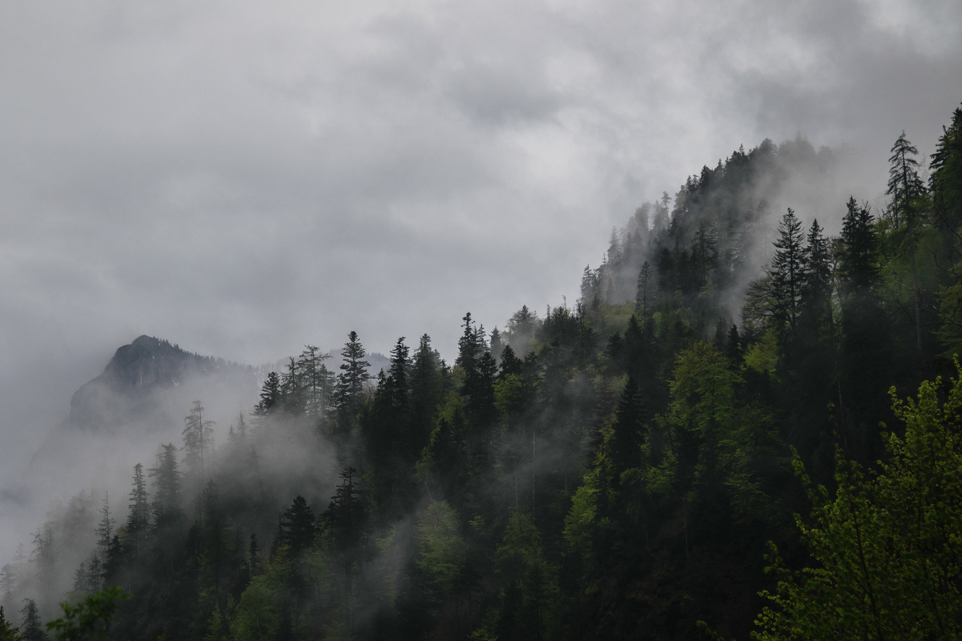 Weißbachschlucht 05, Bayern, 2021