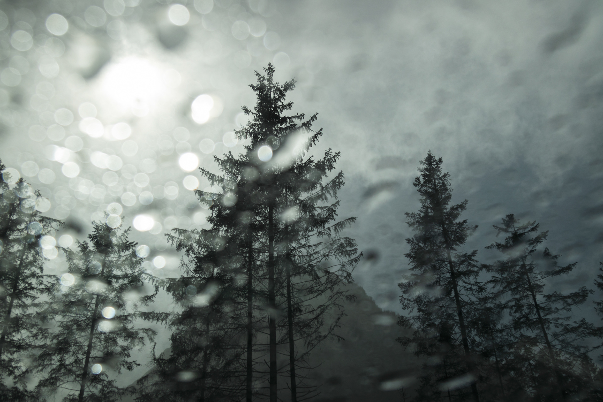 XI - Eleven, The Rain Story, 2021