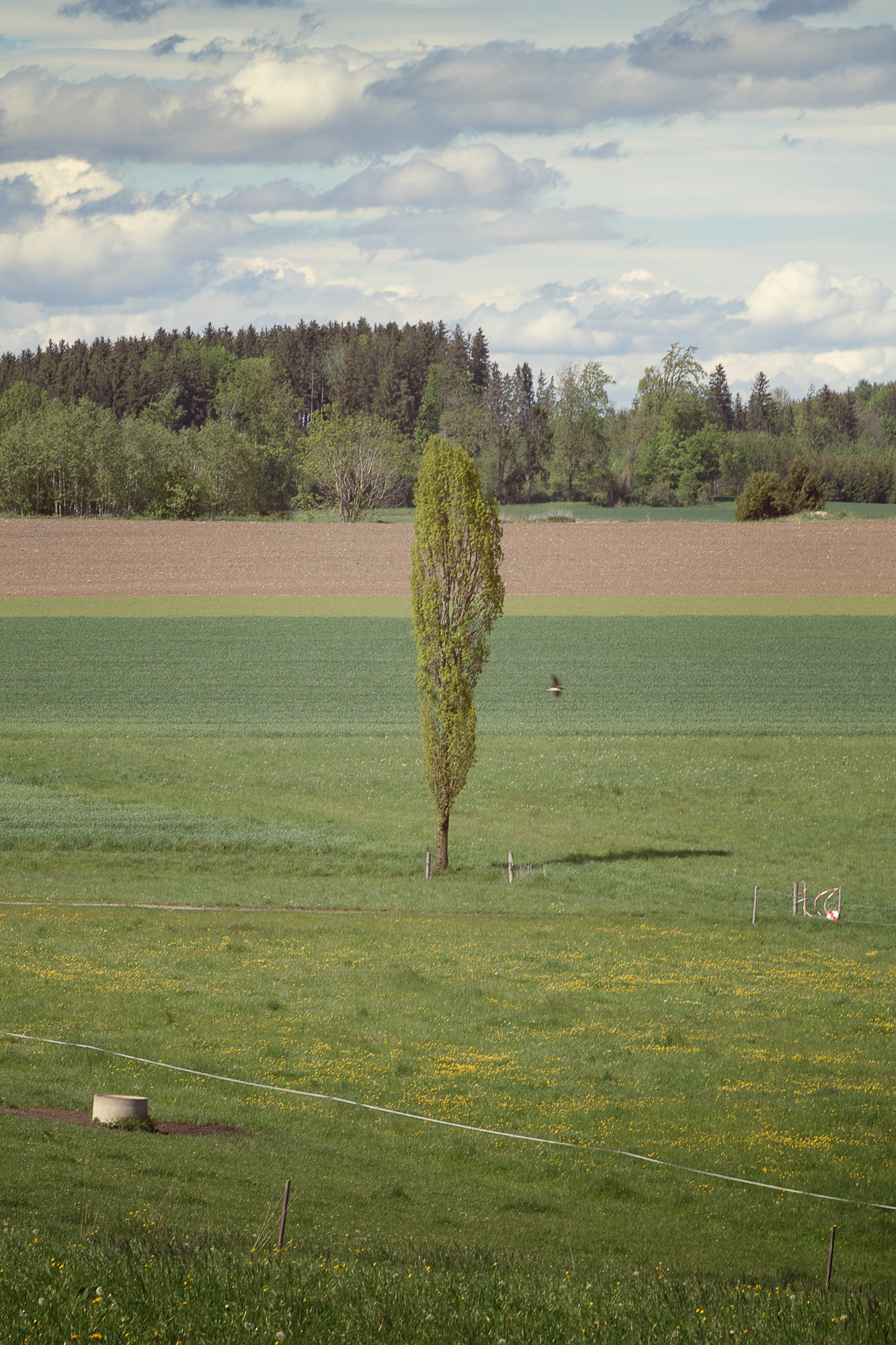 Untitled 01, Bayern, 2021