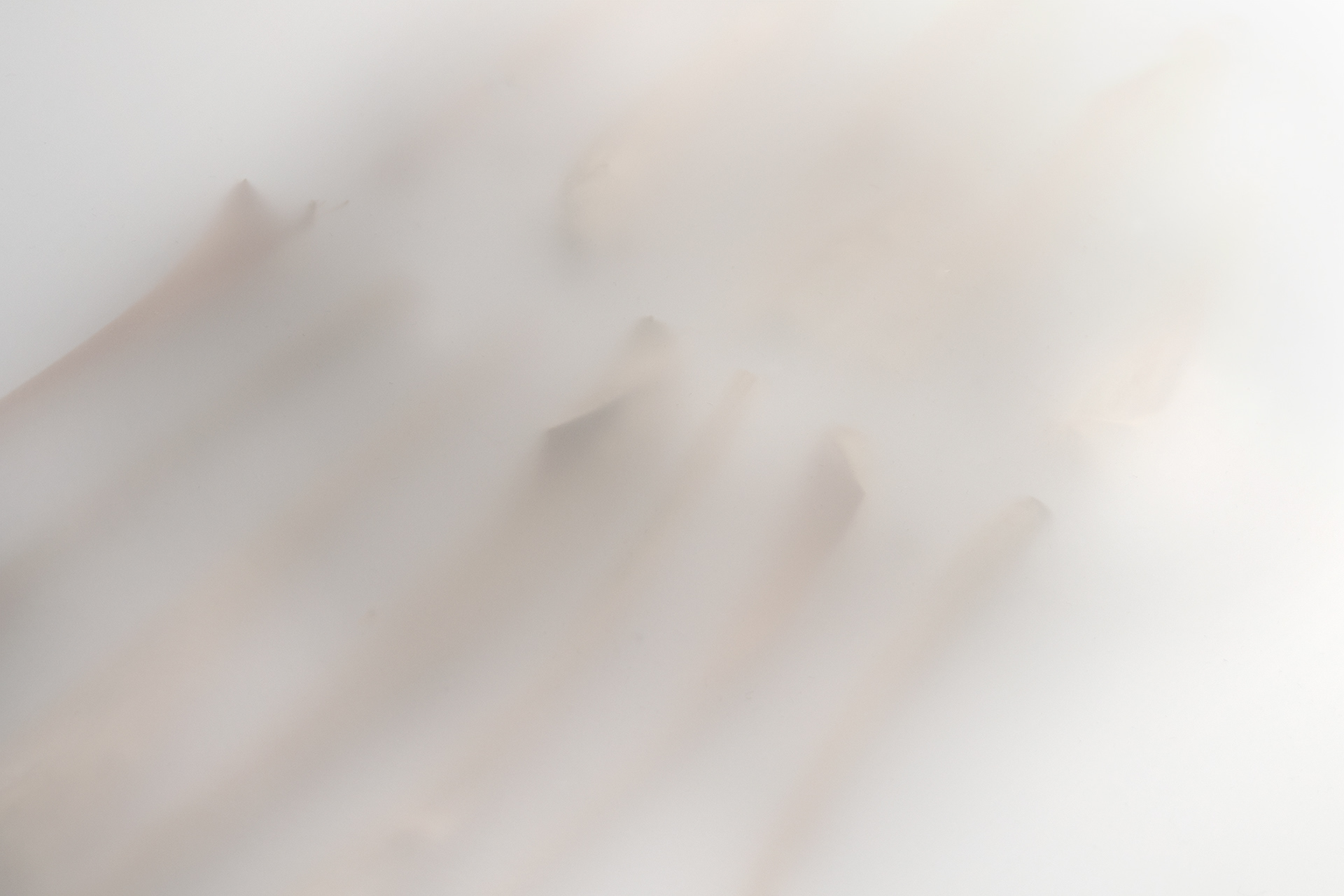 Fading Memories, Stills, 2019