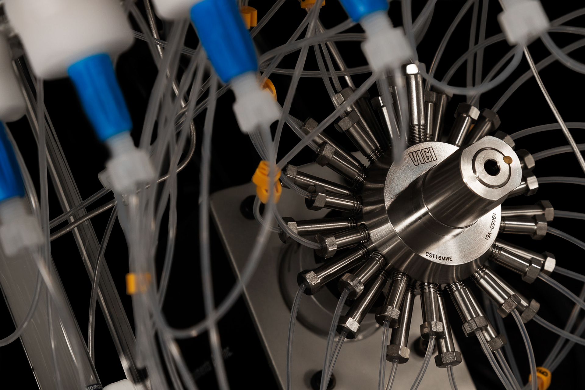 VIII , Magnificence of Climate Science, 2020