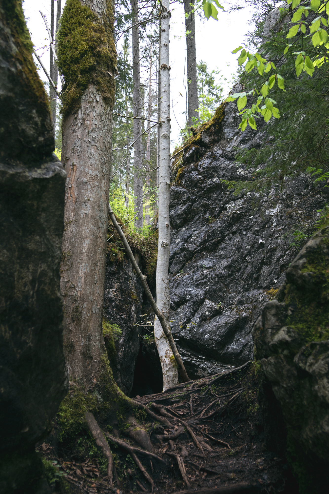 Am Hintersee 09, Bayern, 2021