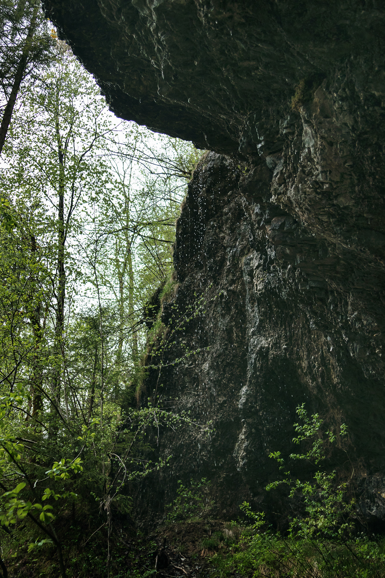 Weißbachschlucht 01, Bayern, 2021