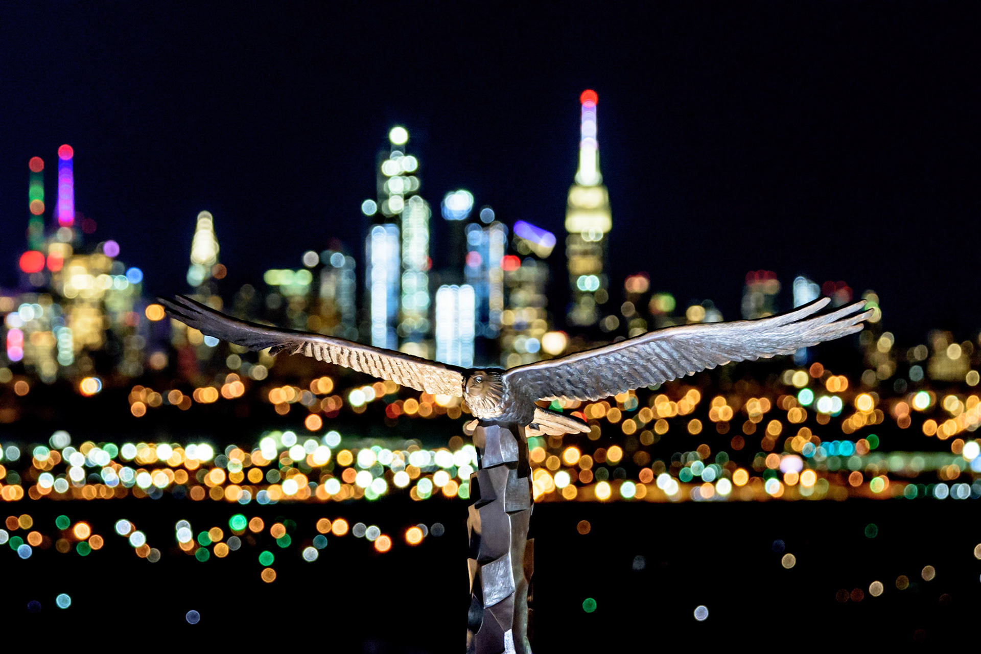 Eagle Over NYCMore at hubbles.com