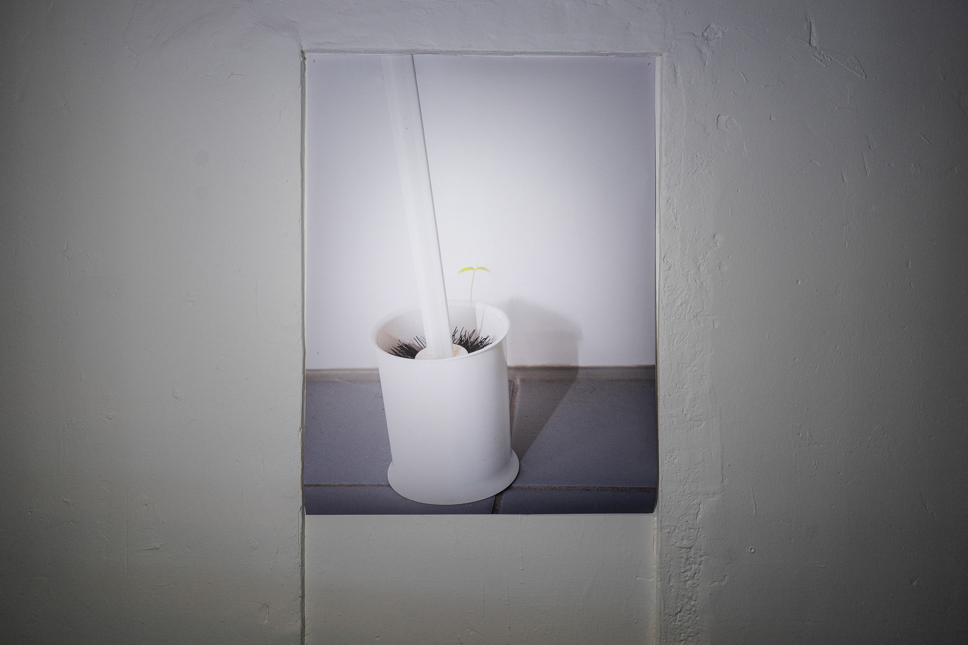 Monika Czyzyk - Peristaltic coupon , digital photo print , 120 x 90 cm