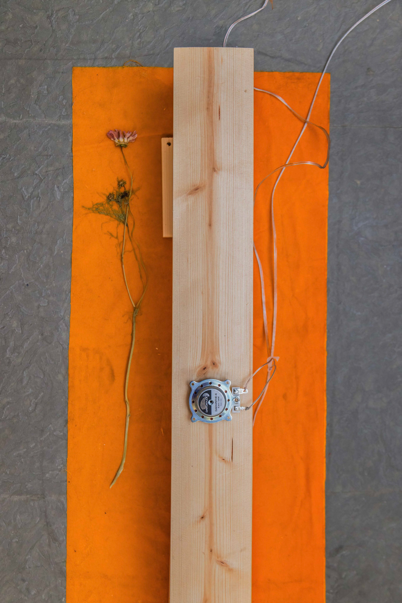 MIKKO KUORINKI, RECITATION, 2023, DETAIL