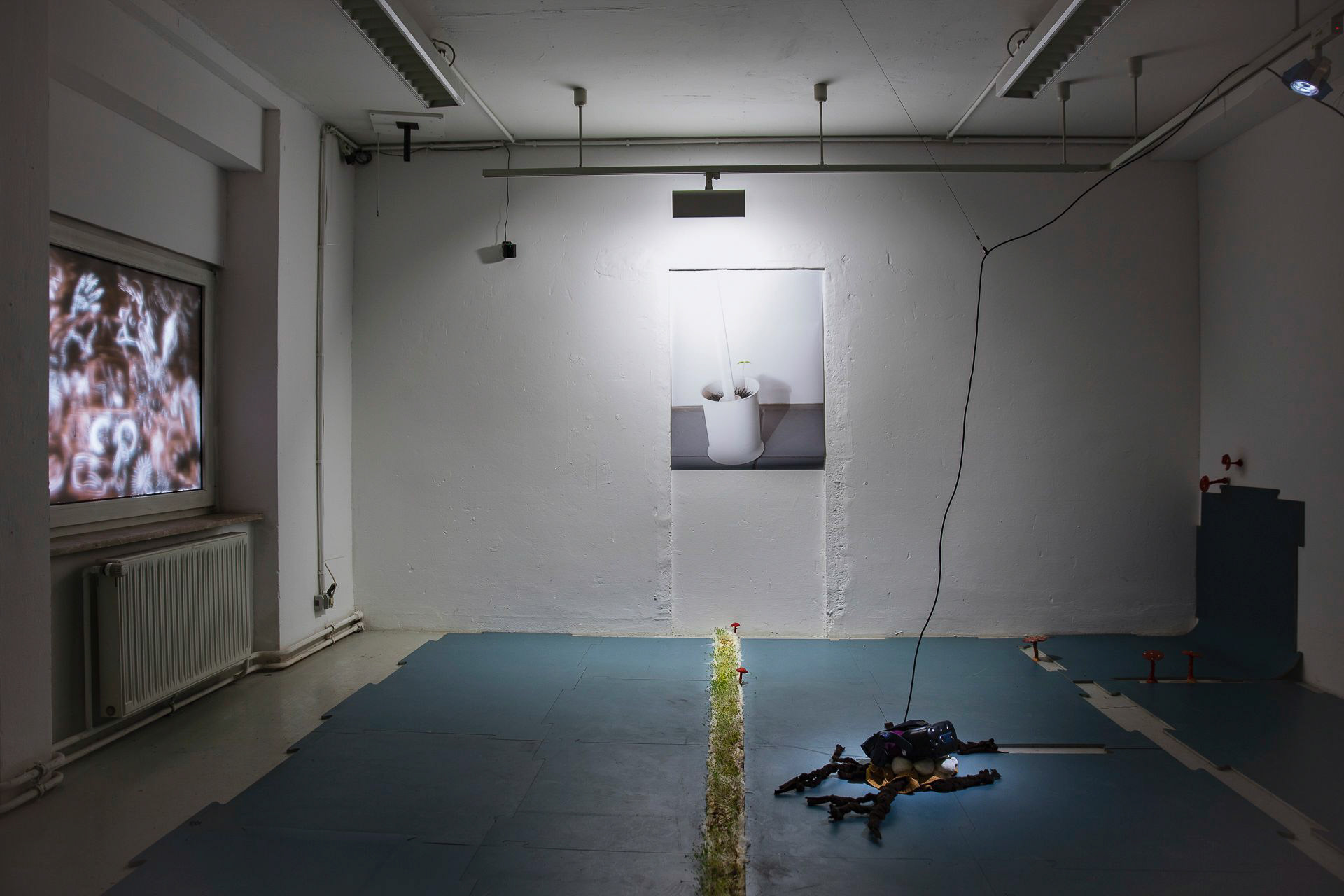 Installation view, Mycelium Orgasm Report, 2023