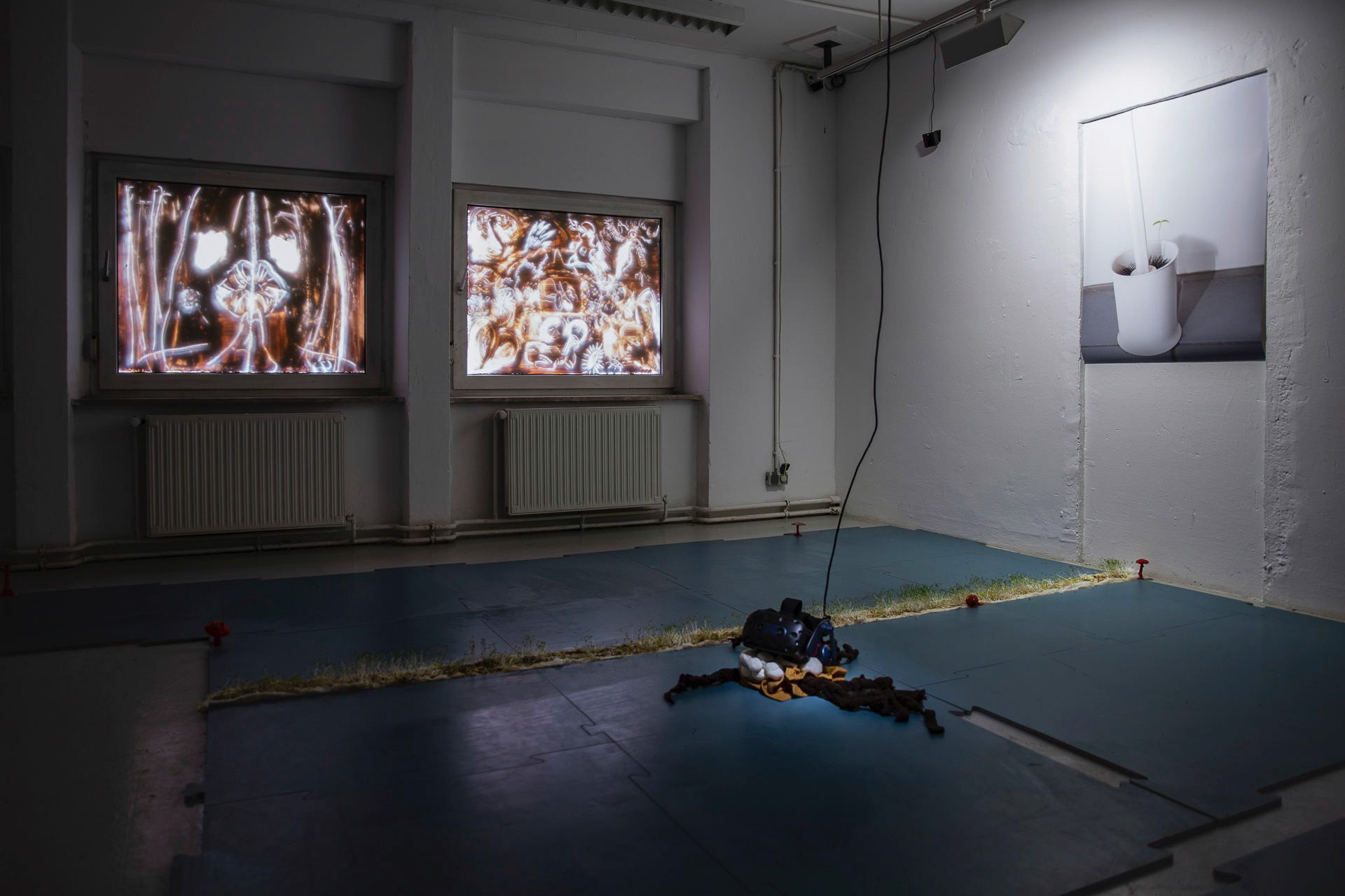 Installation view, Mycelium Orgasm Report, 2023