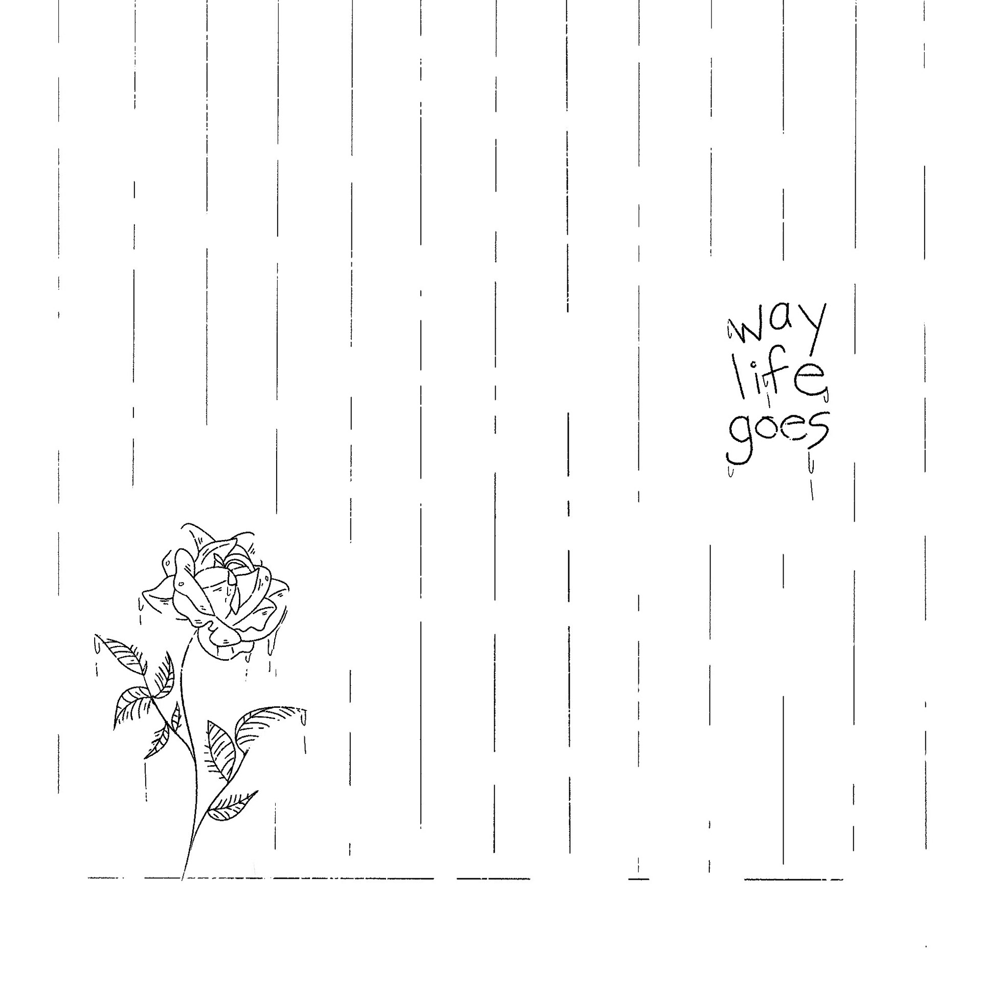 digital single cover for "way life goes"