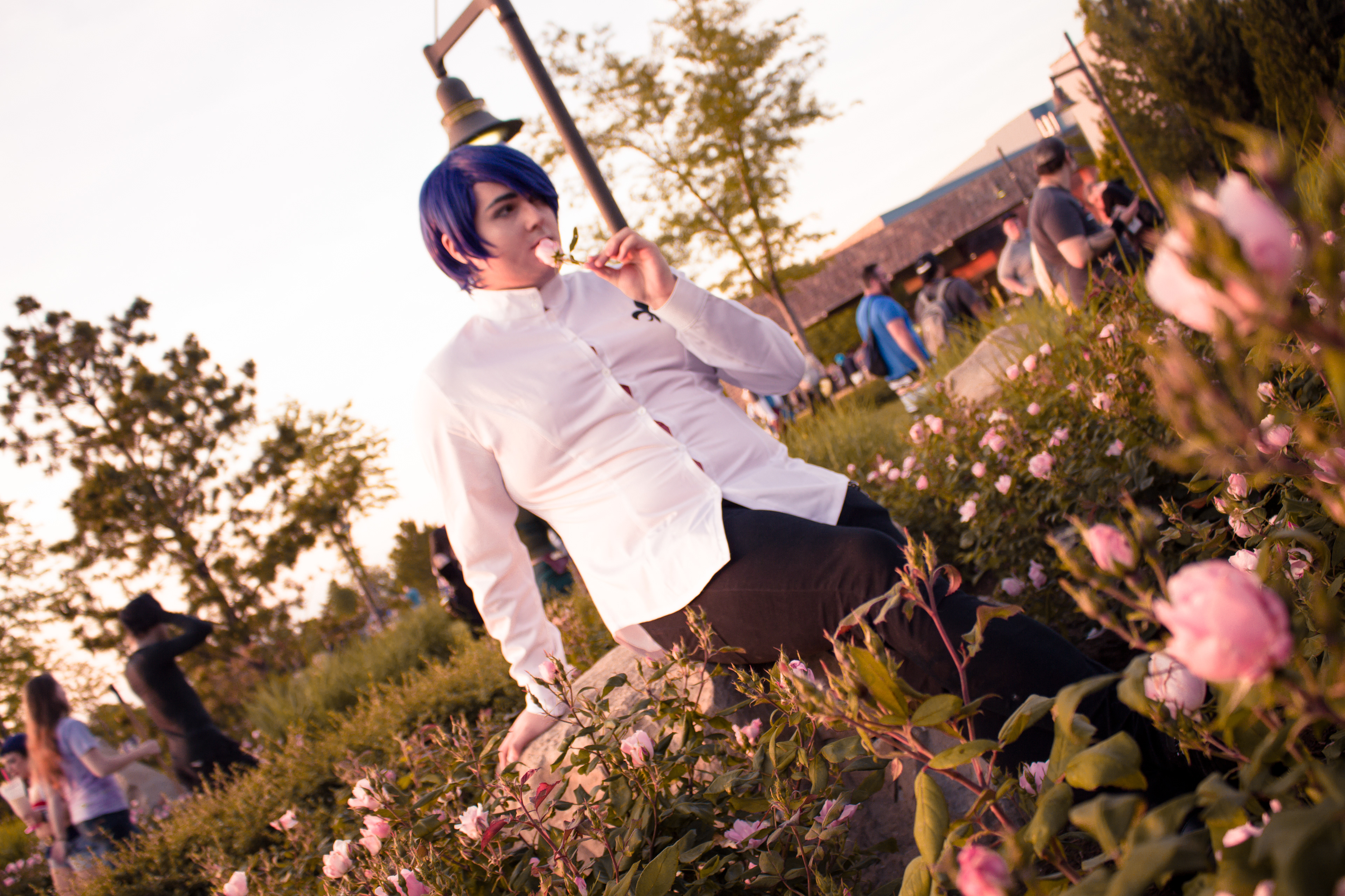 solo (kitagawa yusuke)
