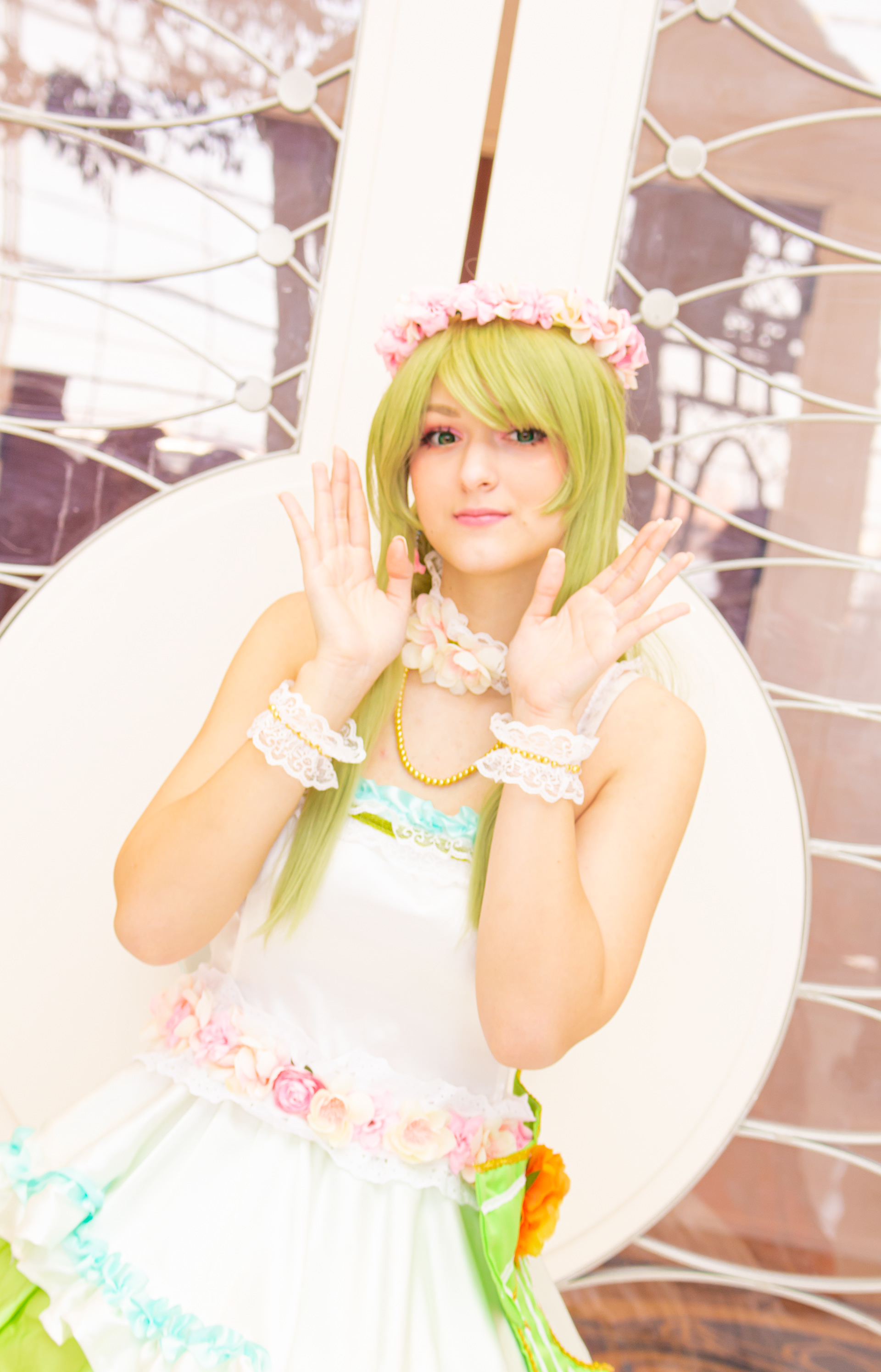 solo (tokiwa kurumi)