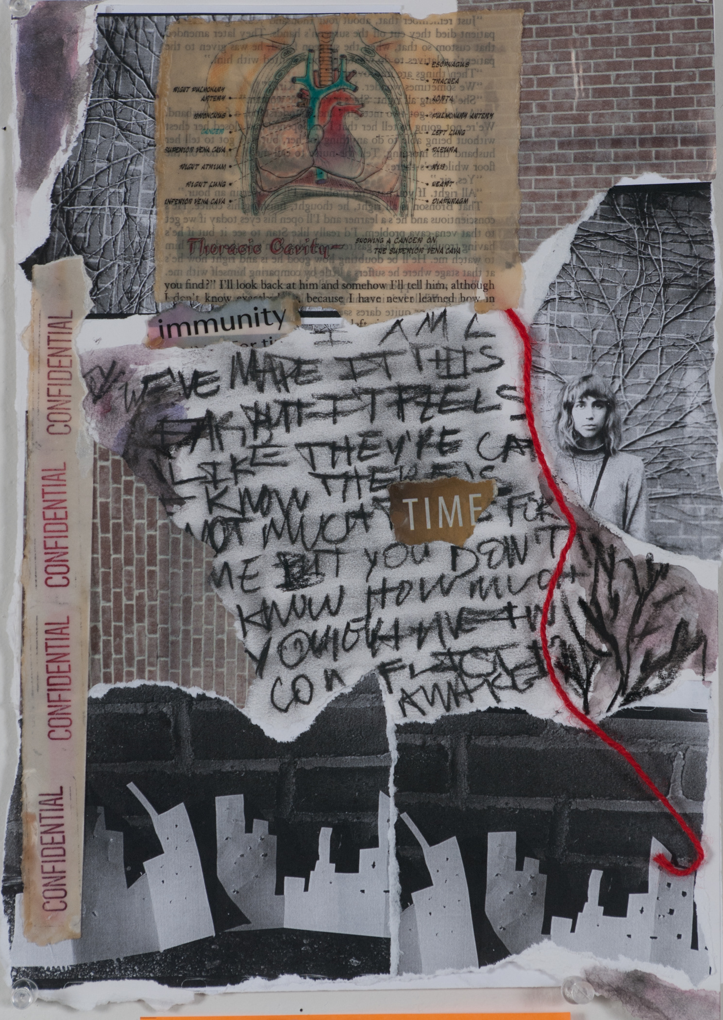 Veins of discovery. Original film photographs and mixed media 10" x 11"