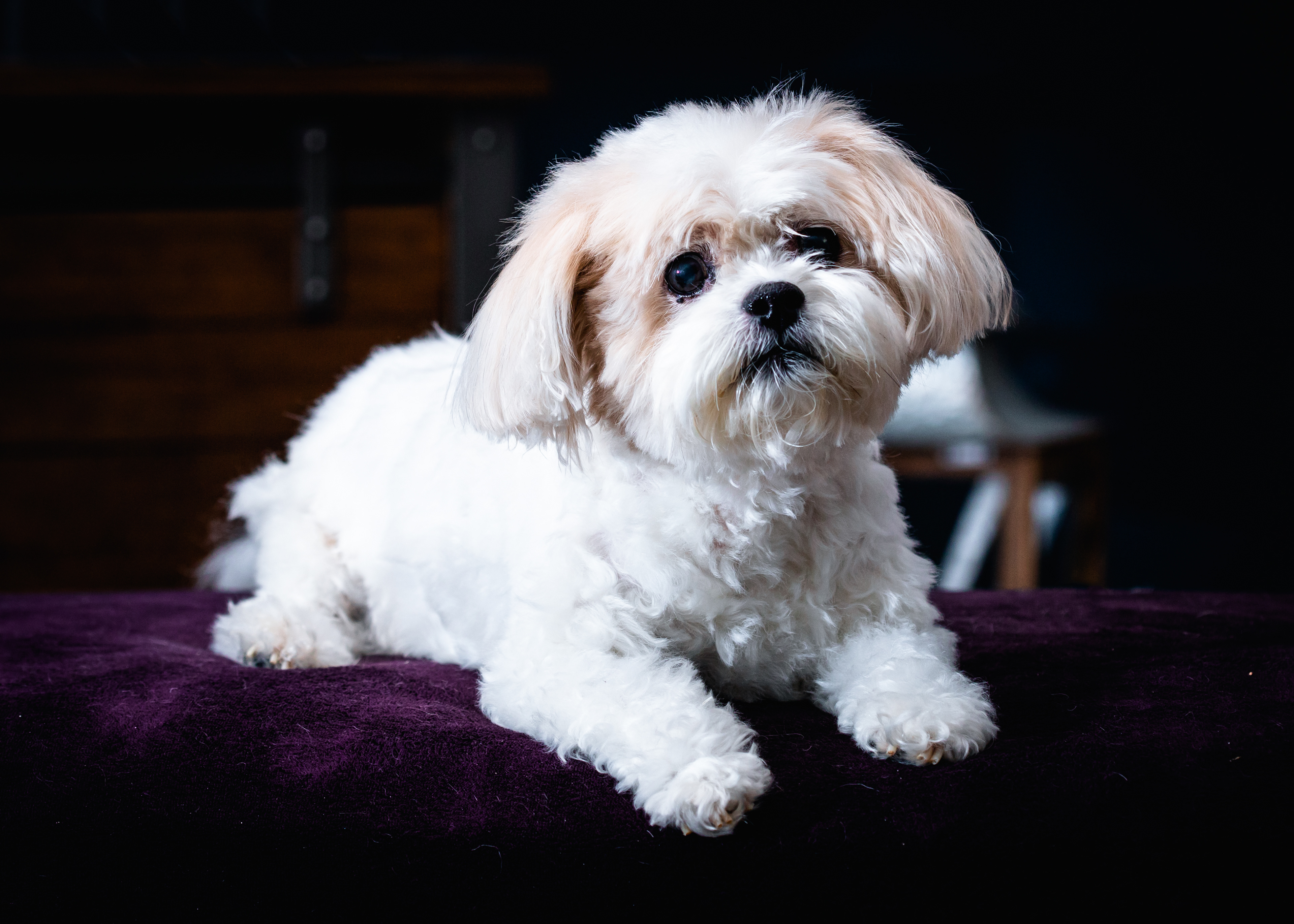 Belle, Age 15 (October 2019)