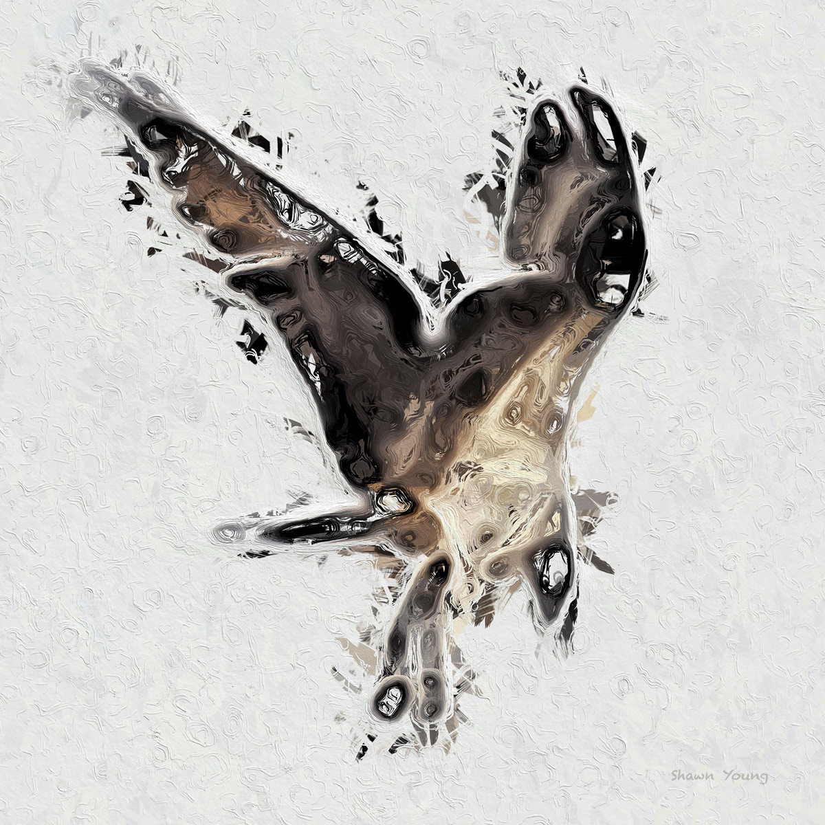 Osprey 14x14 in.