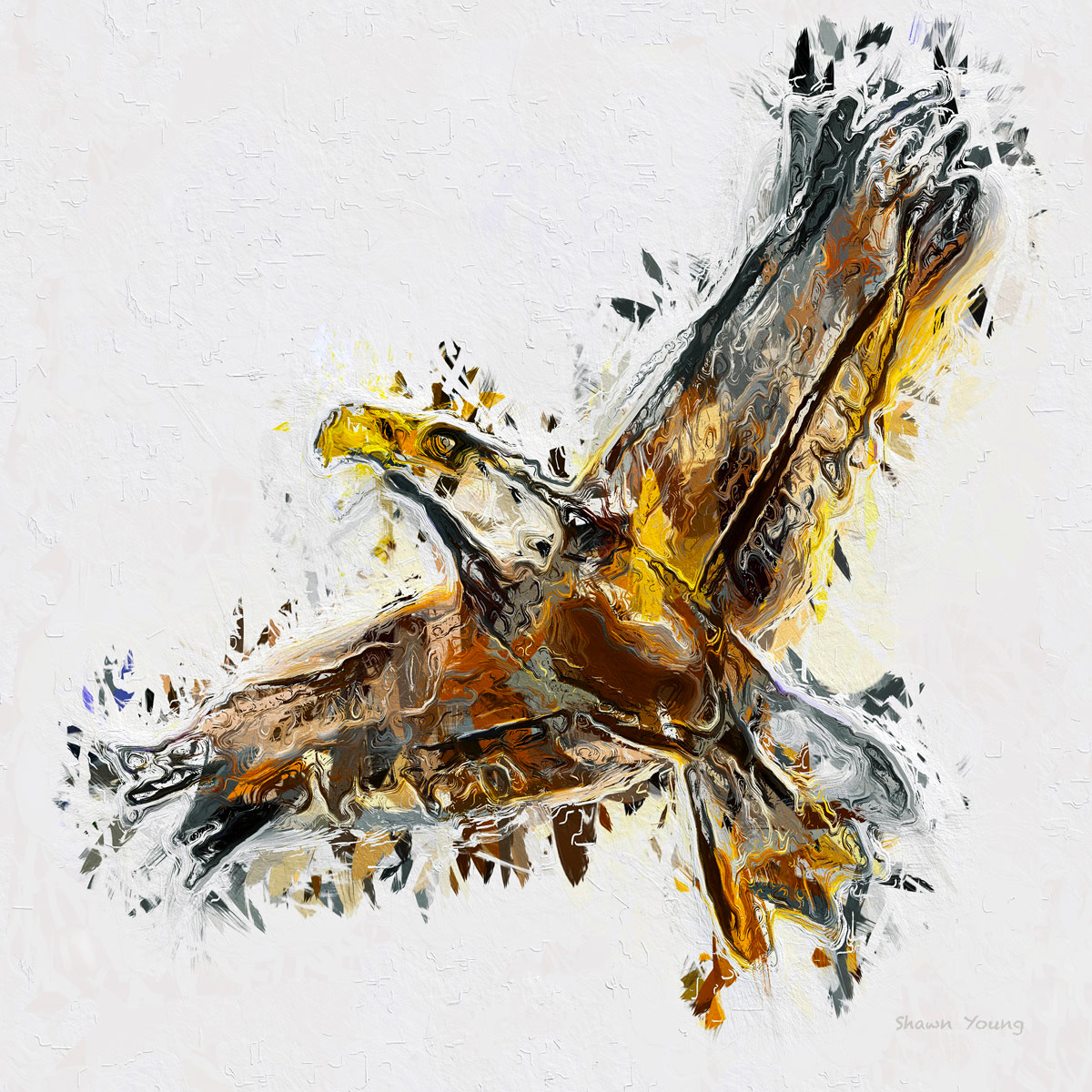 Eagle 14x14 in.