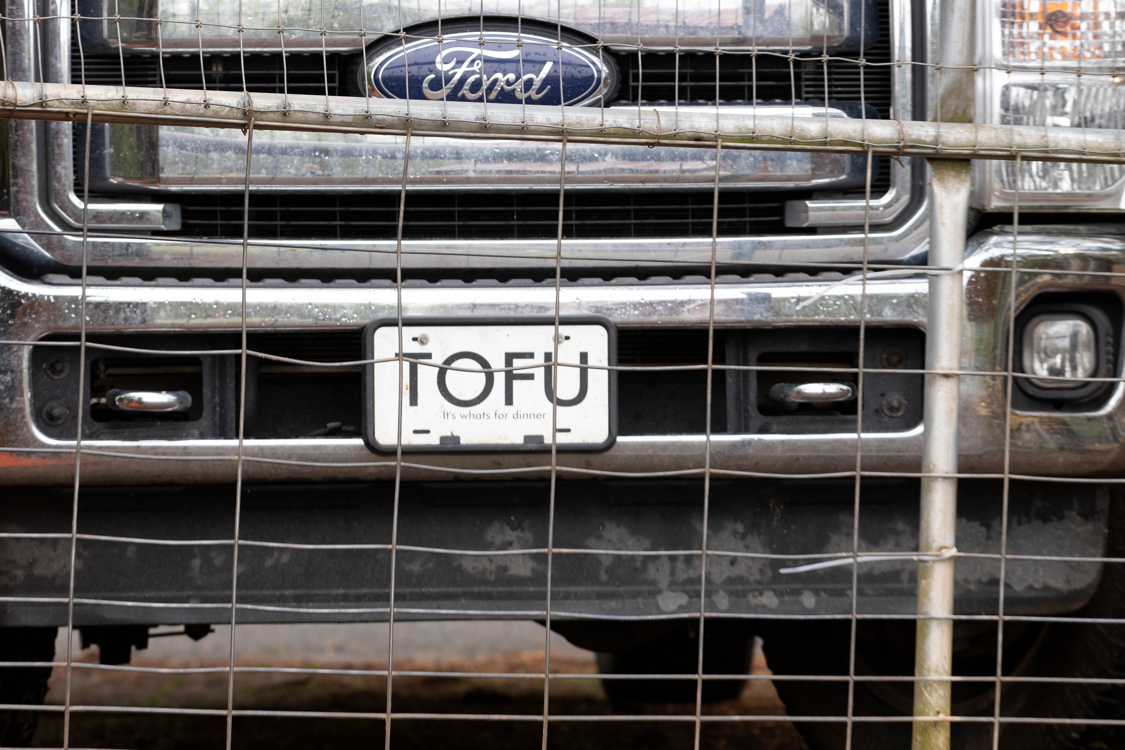 Kat Howkins, co-owner of Sweet Olive Farm in Winterville, Georgia, prepares to drive her truck into her farm on April 6, 2022. The front license plate on Howkins’ truck reads “TOFU: IT’S WHAT’S FOR DINNER.” Howkins doesn’t eat meat, and through her farm, hopes to teach kids and adults alike that animals are to be related to, and not eaten.