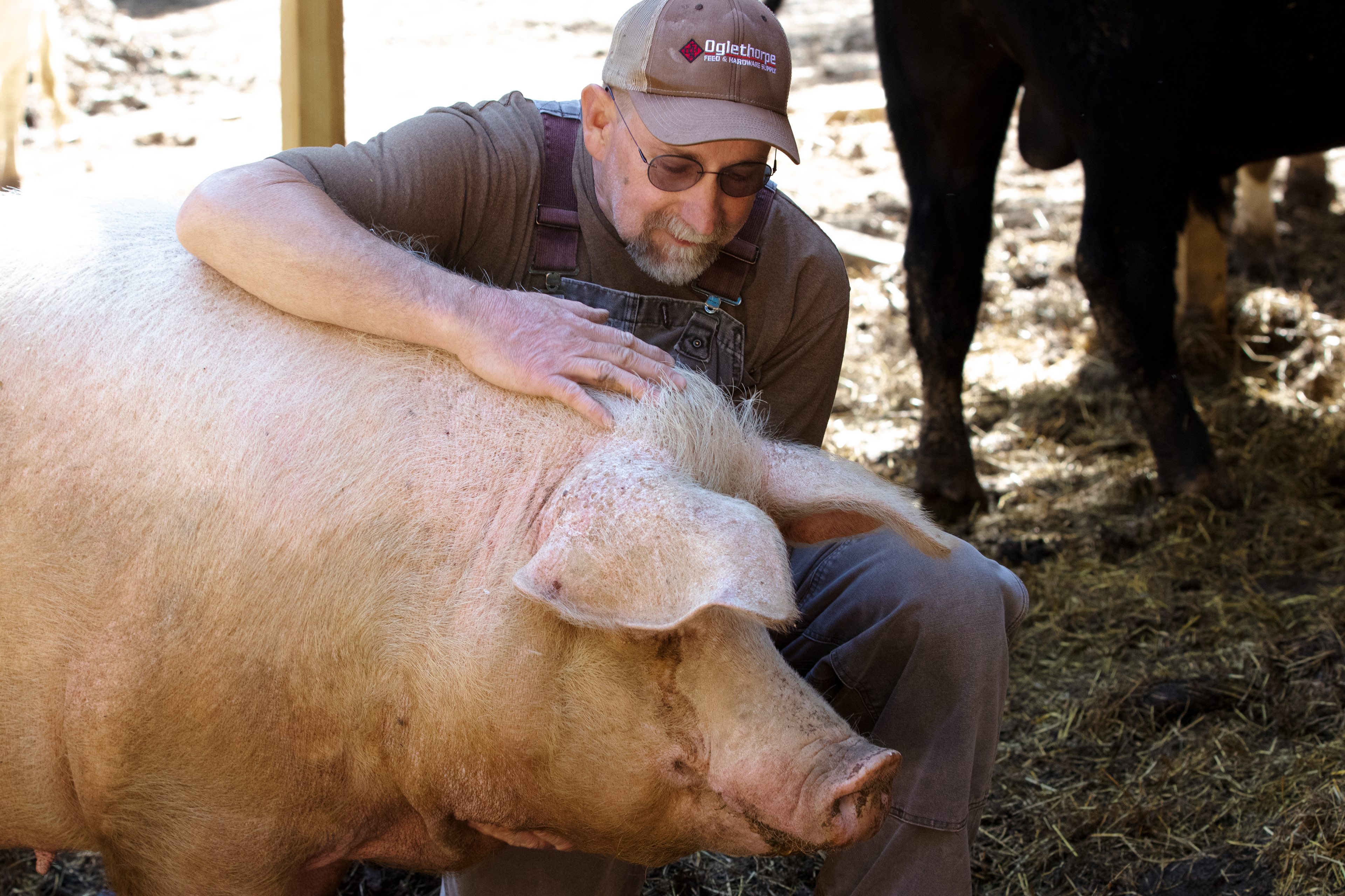 Eddie Mosko hugs a pig named Olivia on April 3, 2022 at Sweet Olive Farm in Winterville, Georgia. Mosko has a connection with the pigs, and he can be seen petting them as he walks across the farm. “I’m a pig lover,” Mosko said. “I’m an absolute pig lover. I’ve rescued and adopted nine of my own.”