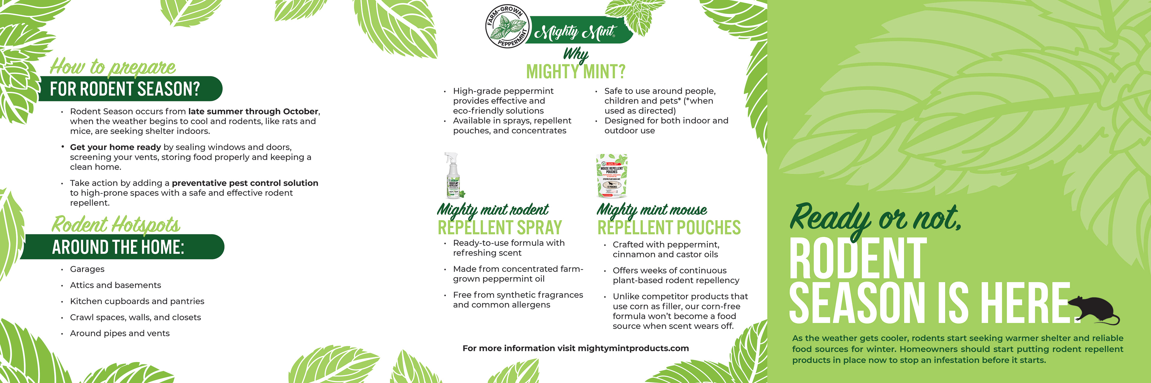 Educational infographic developed for Mighty Mint's website, providing seasonal rodent prevention tips, common infestation hotspots, and product recommendations to help homeowners prepare for rodent season.
