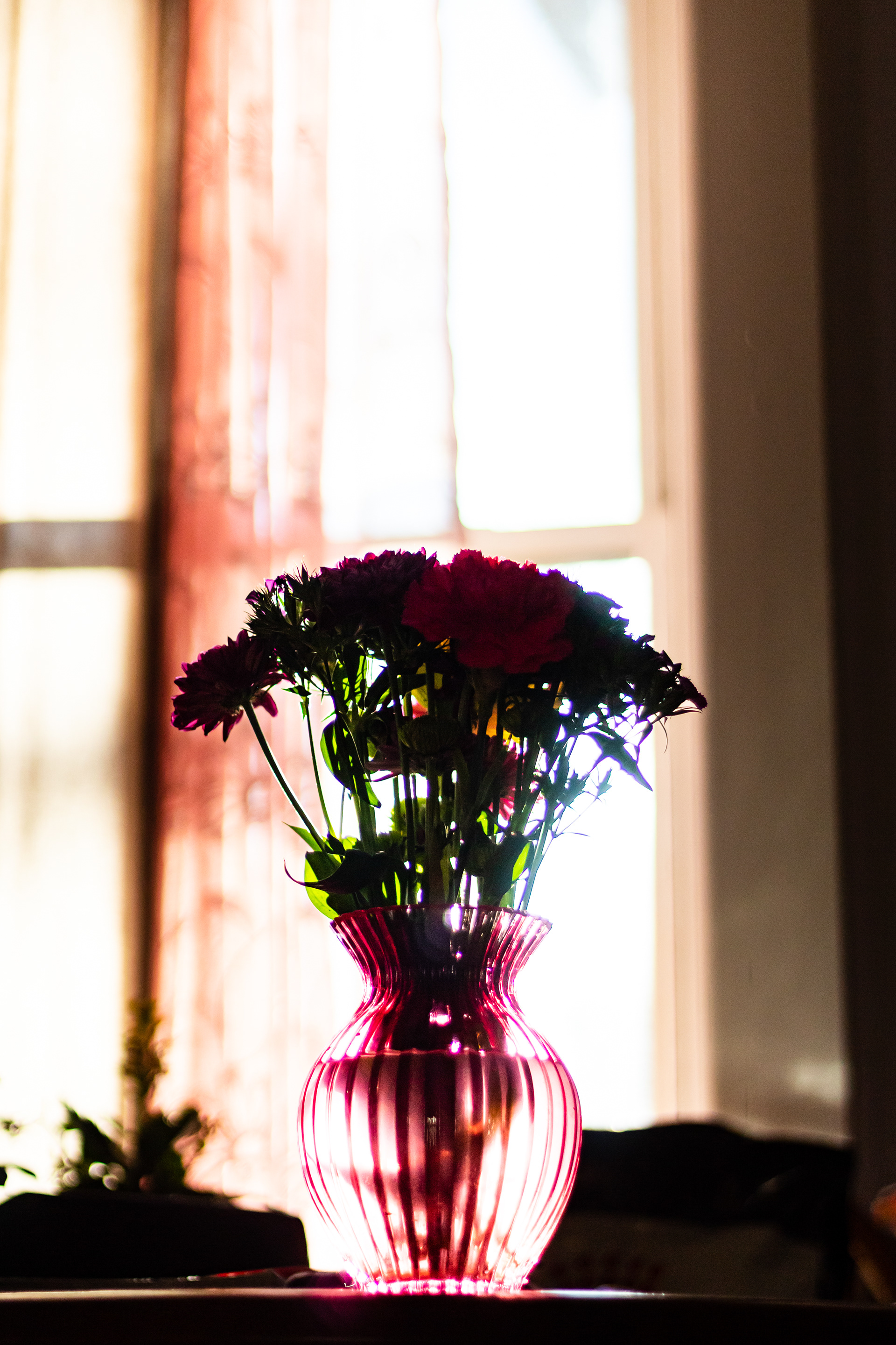 Flower photography
