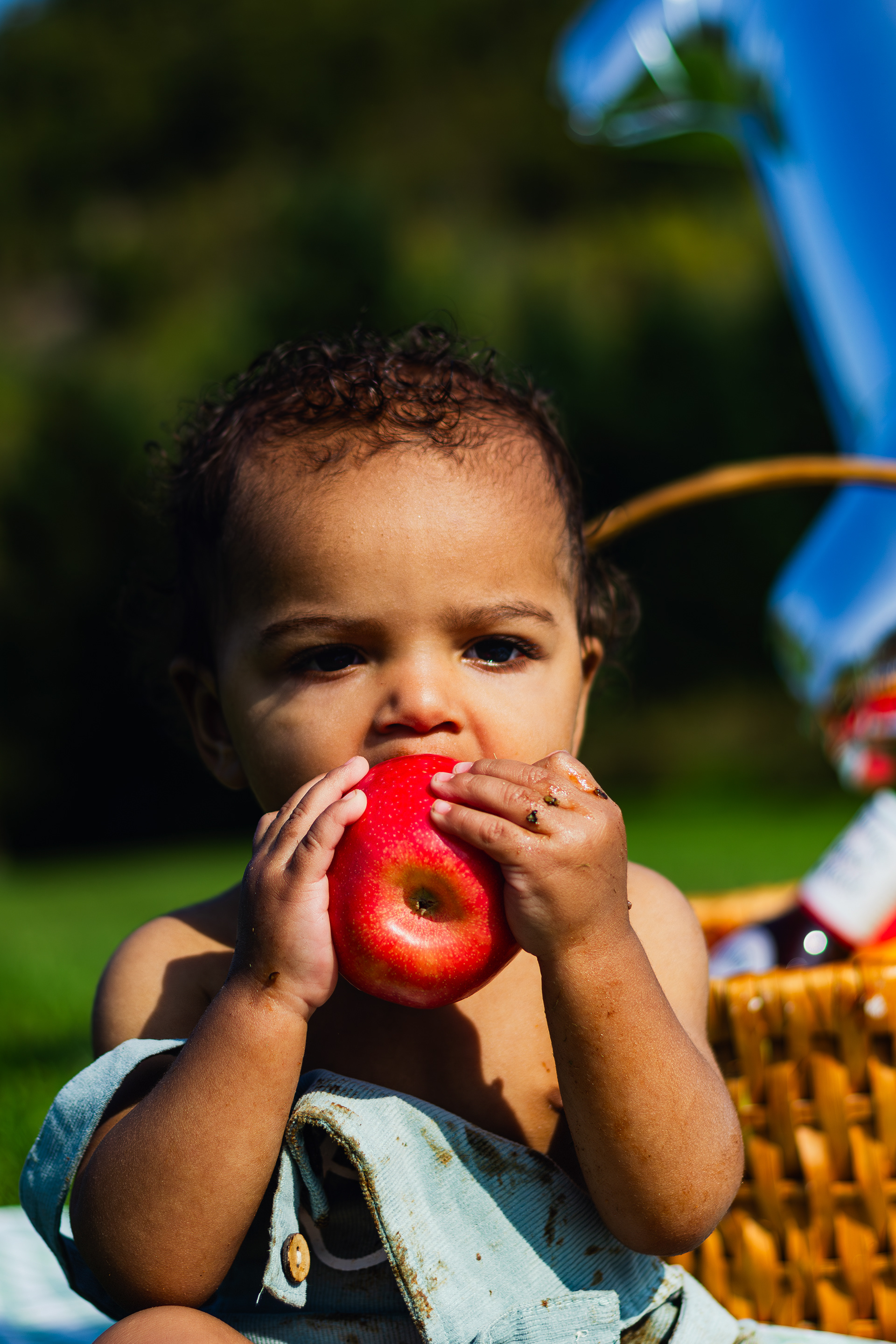 Child photography first birthday