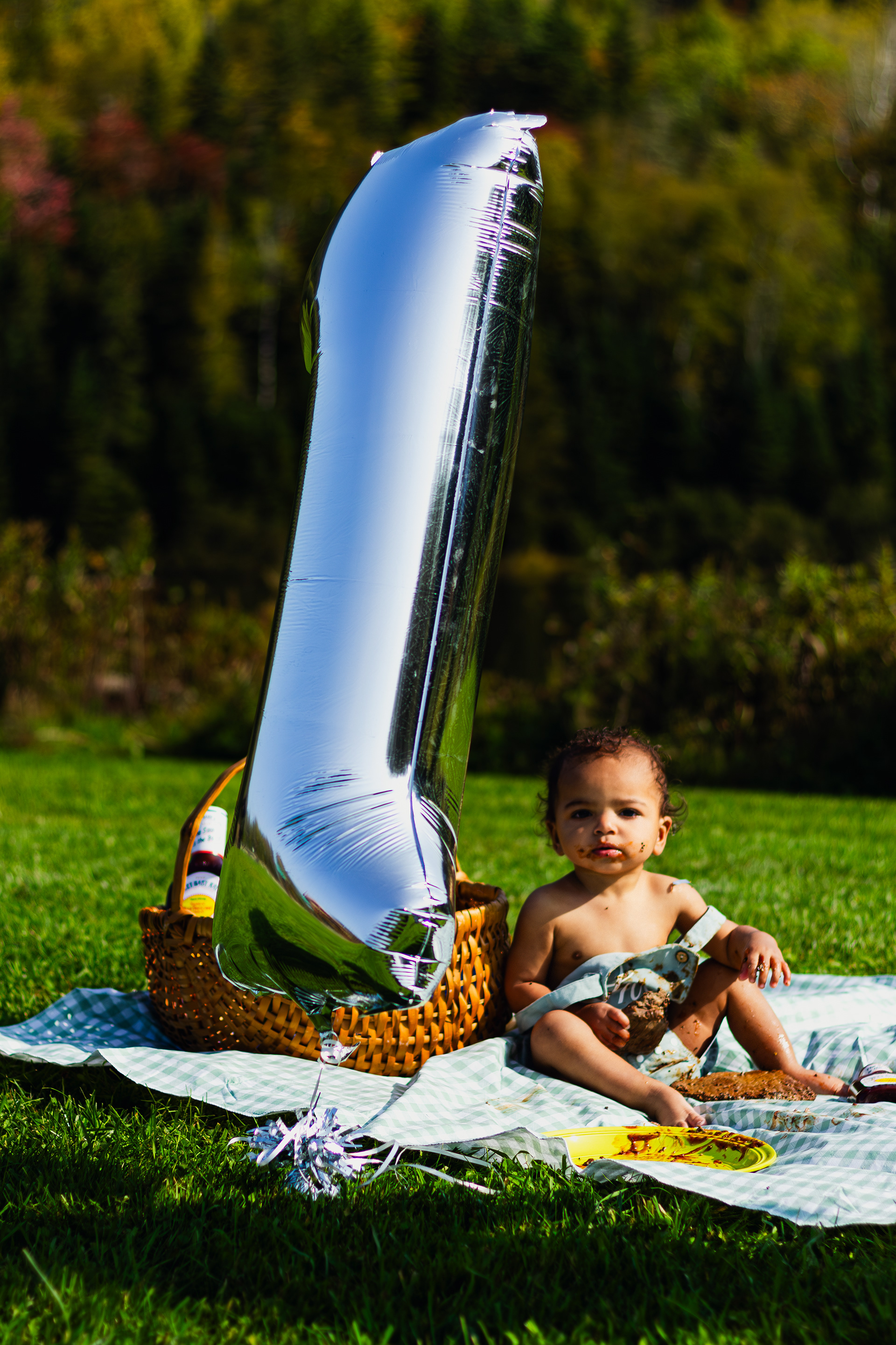 Child photography first birthday