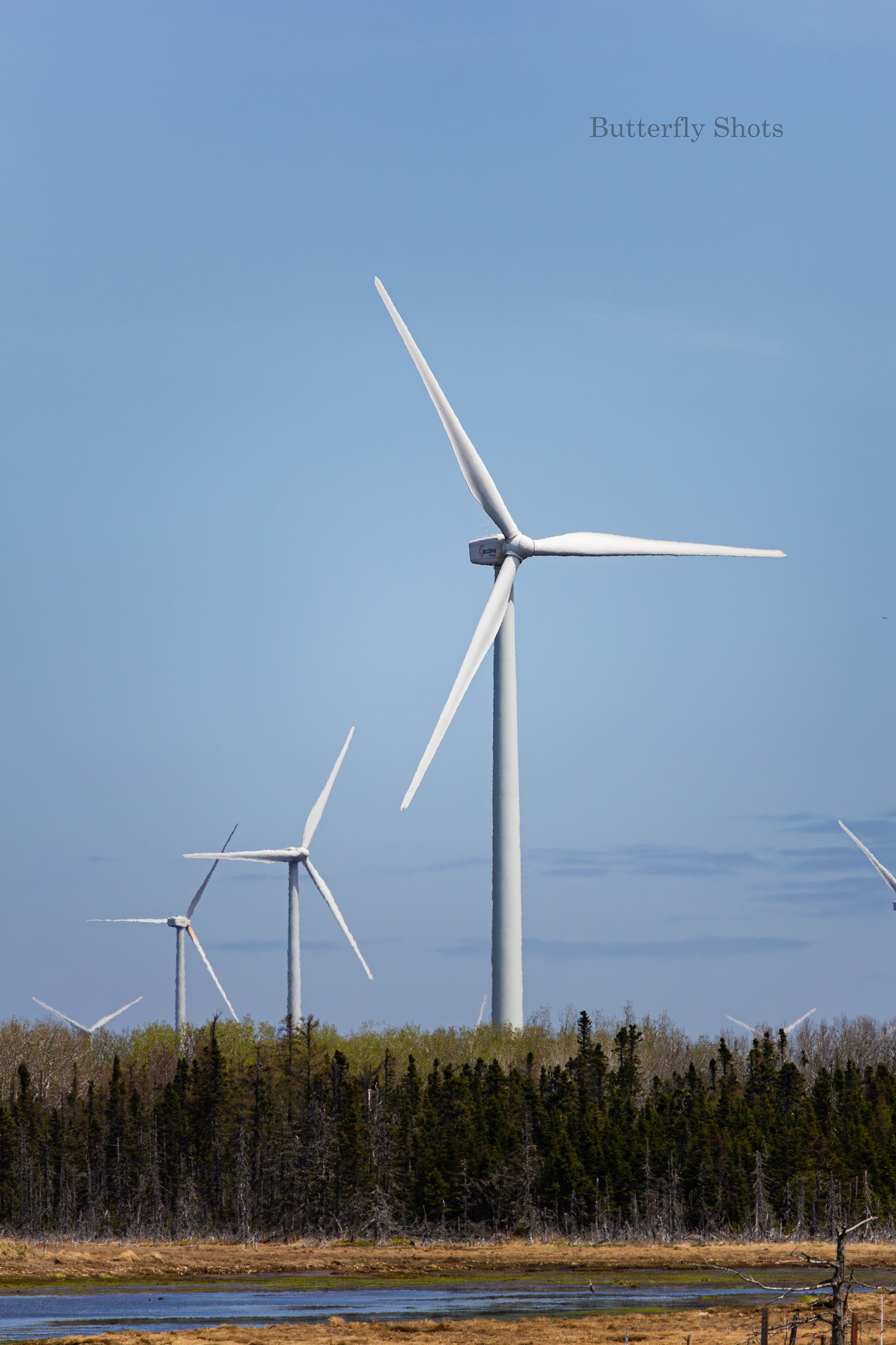 Landscape photography of wind turbines in Lamèque New-Brunswick