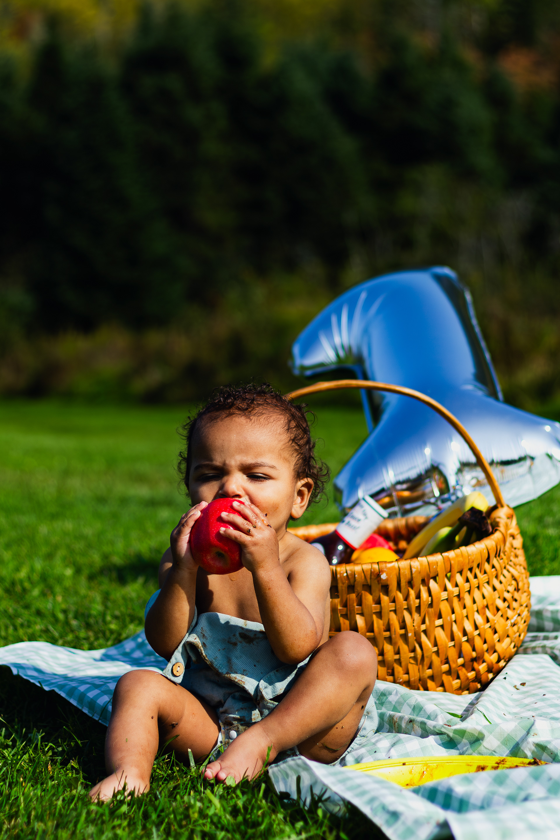 Child photography first birthday