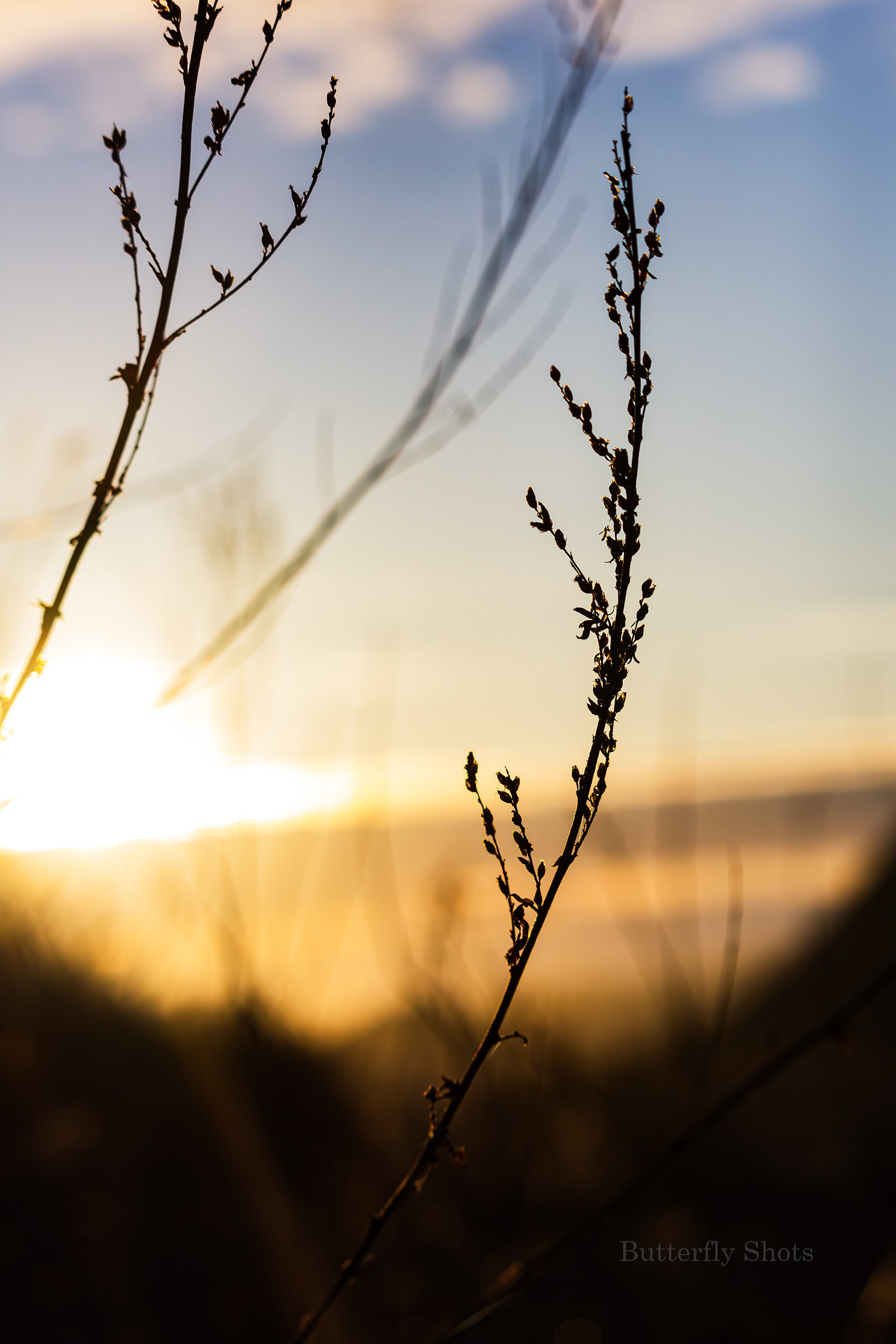 Landscape photography