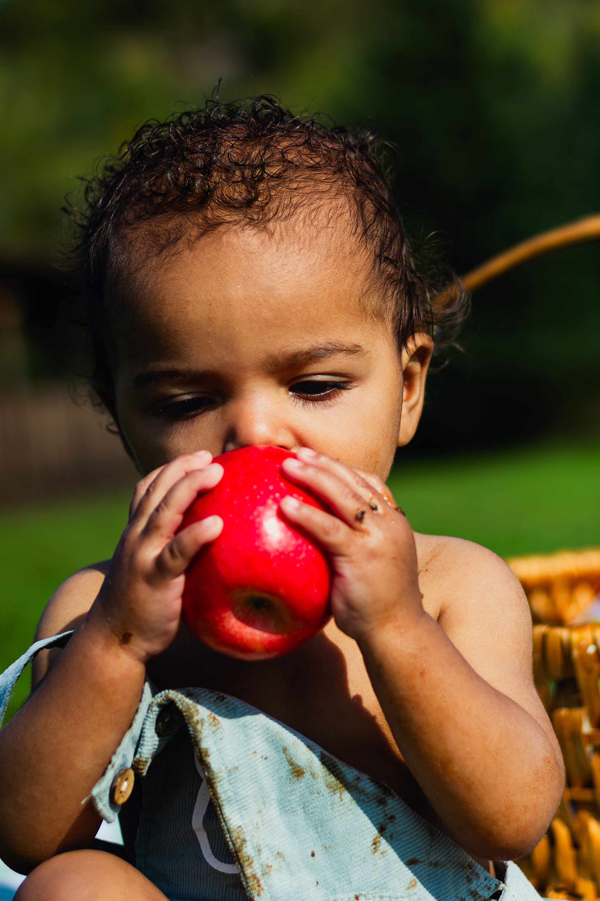 Child photography first birthday