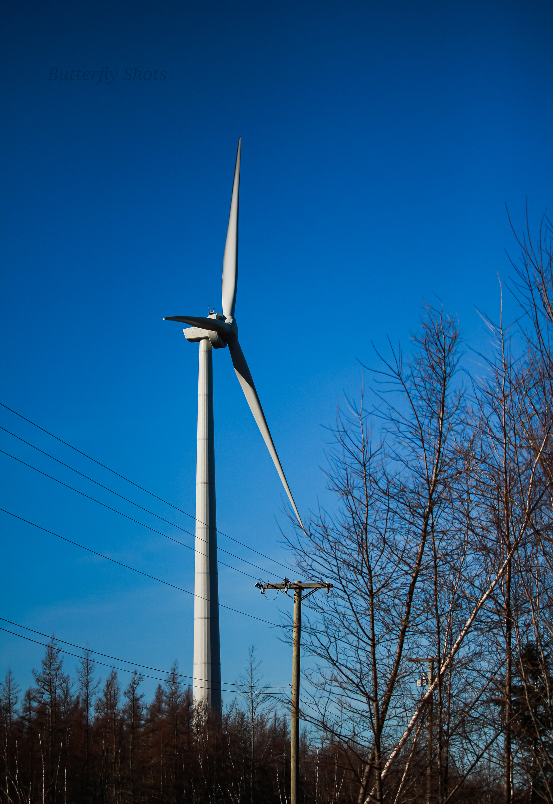 Structure photography of a wind turbine in Rexton New Brunswick