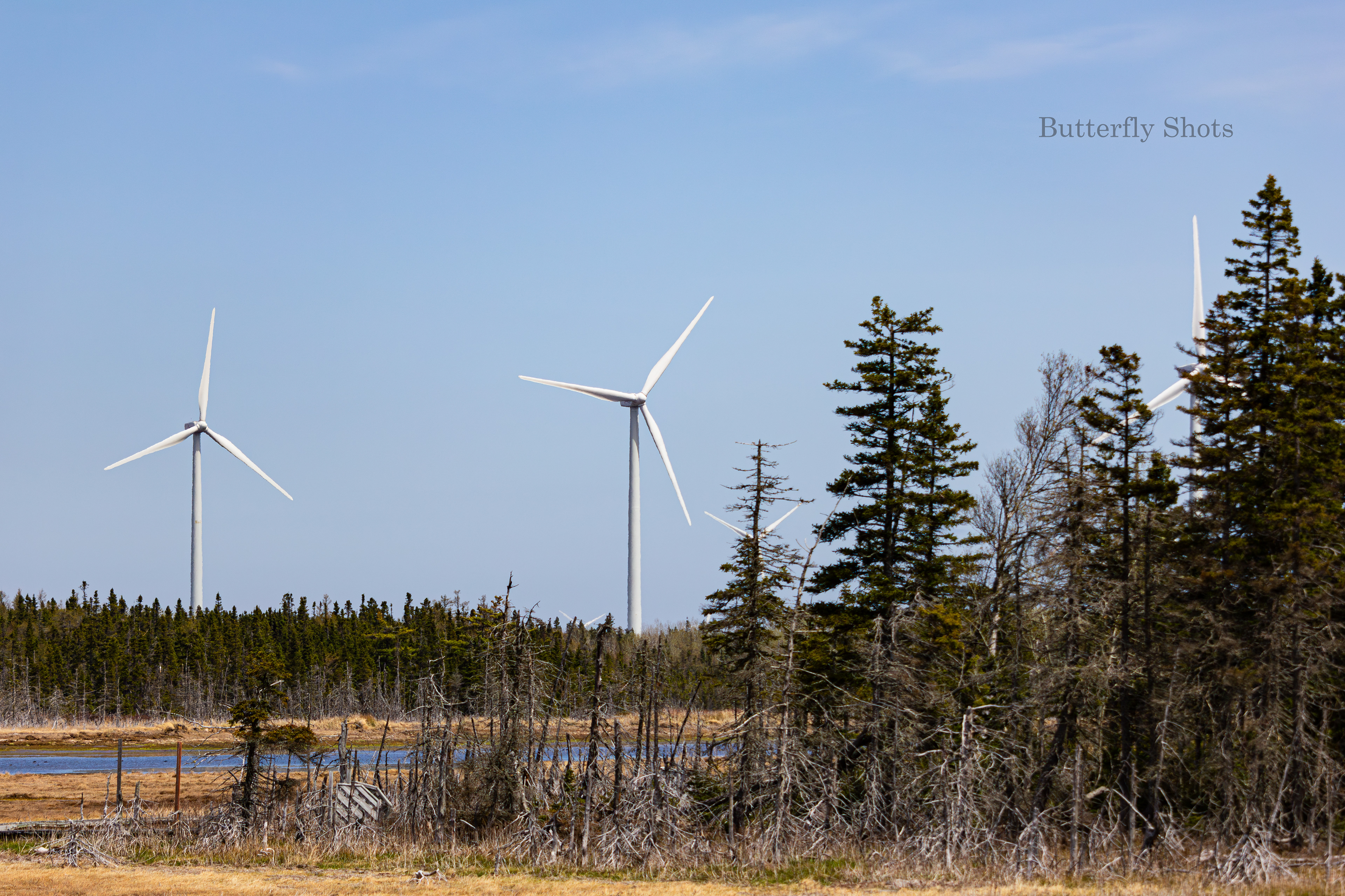 Landscape photography of wind turbines in Lamèque New-Brunswick