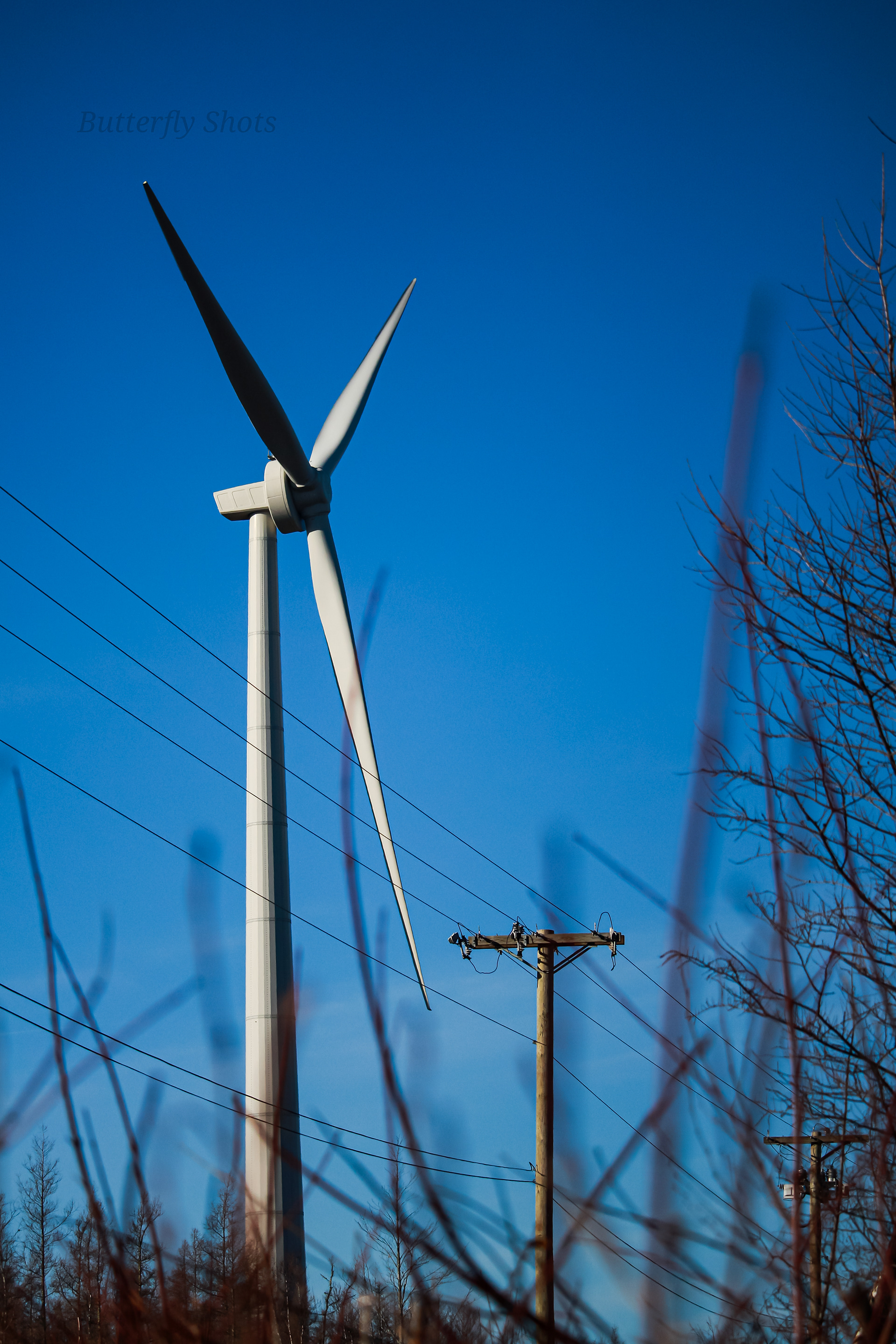 Structure photography of a wind turbine in Rexton New Brunswick