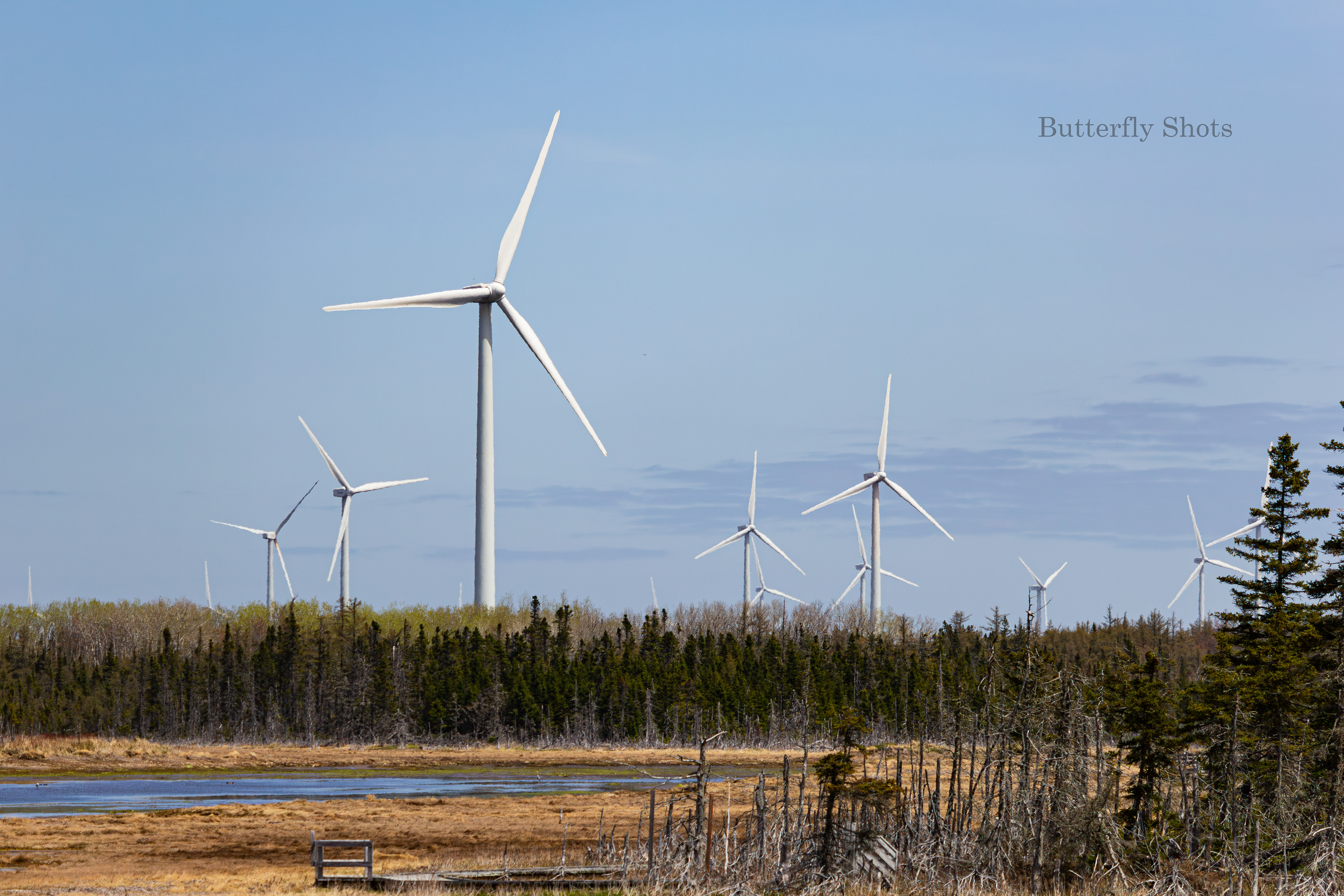 Landscape photography of wind turbines in Lamèque New-Brunswick