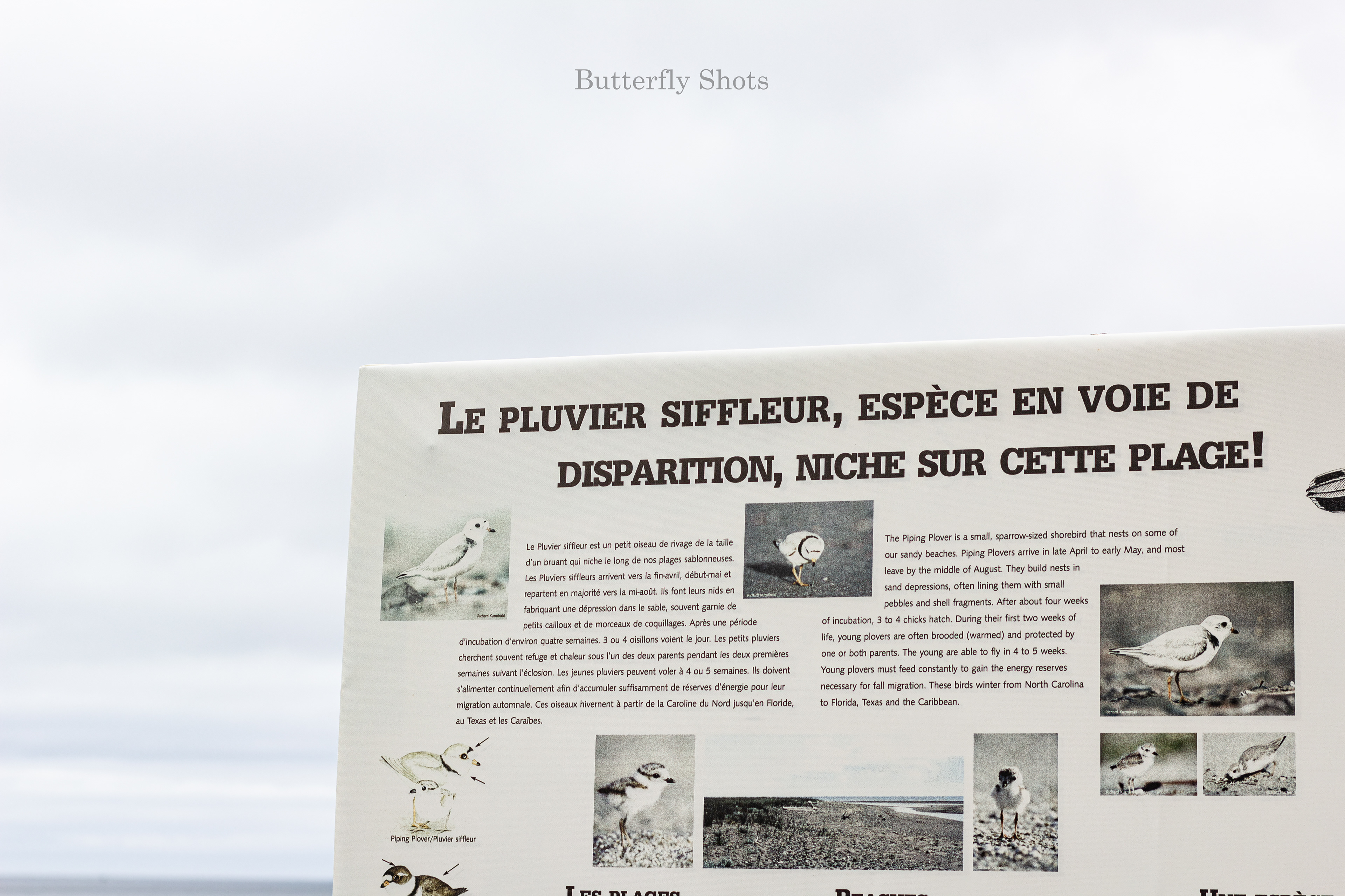 Landscape photography in Lamèque New-Brunswick