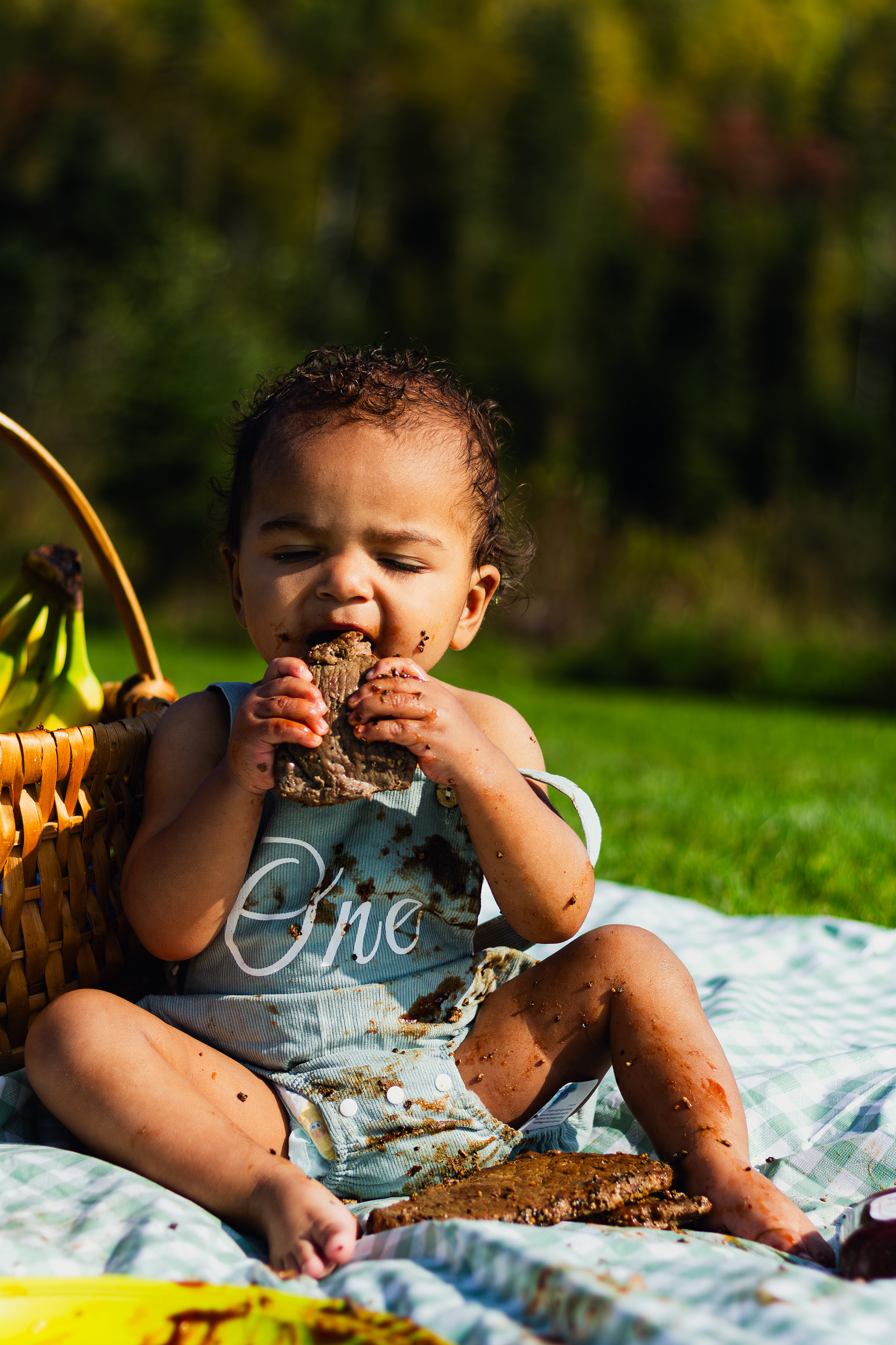 Child photography first birthday
