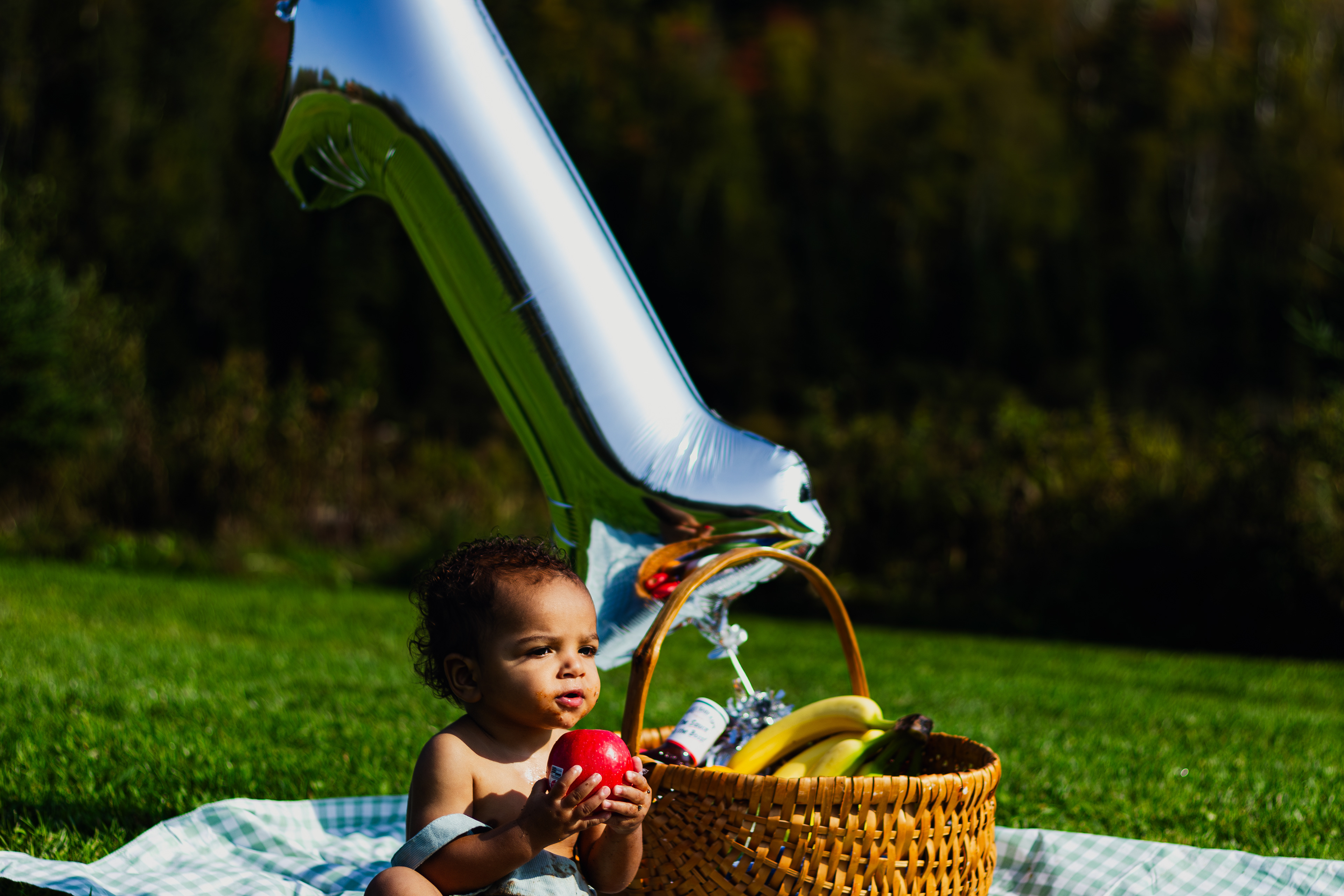 Child photography first birthday