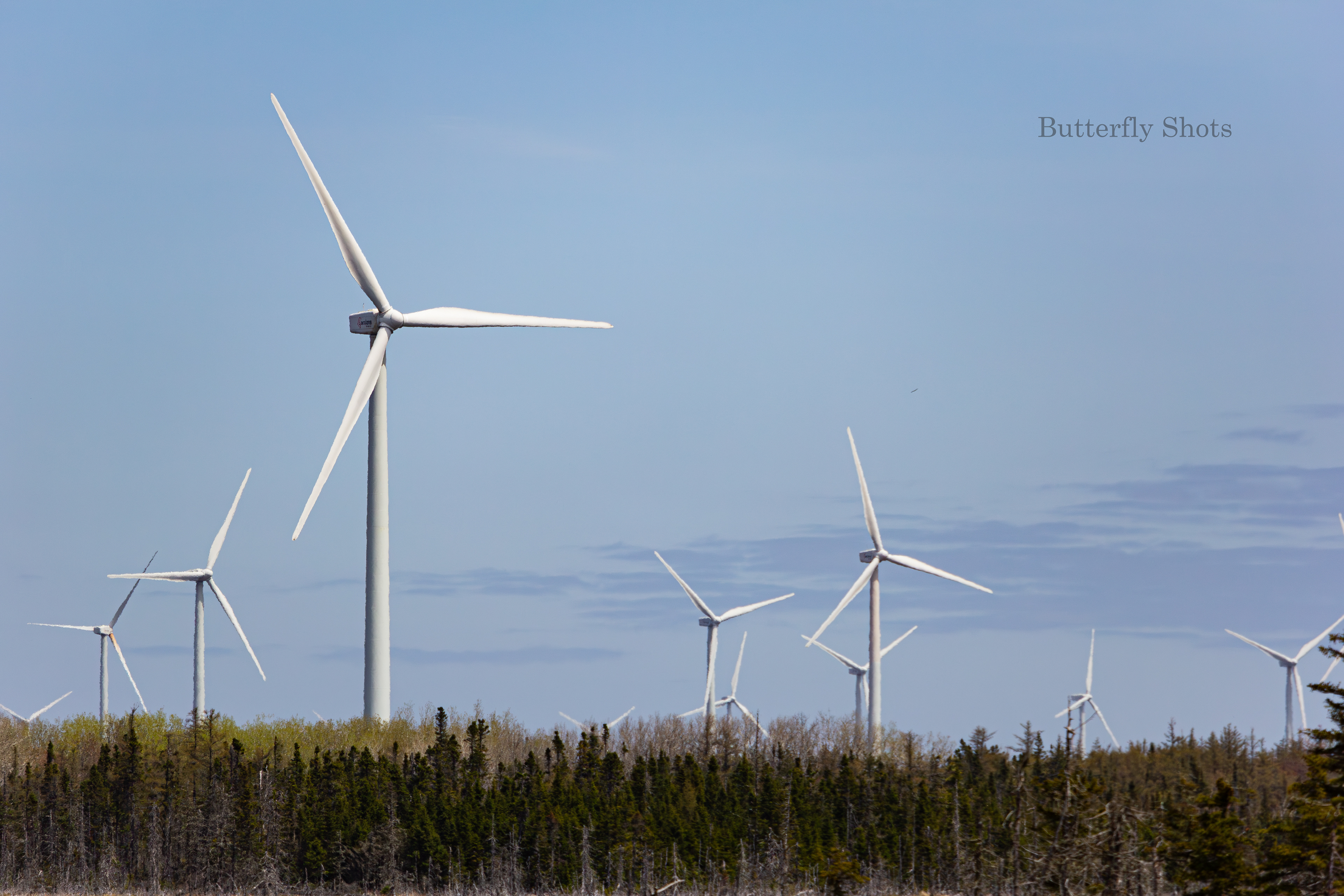Landscape photography of wind turbines in Lamèque New-Brunswick