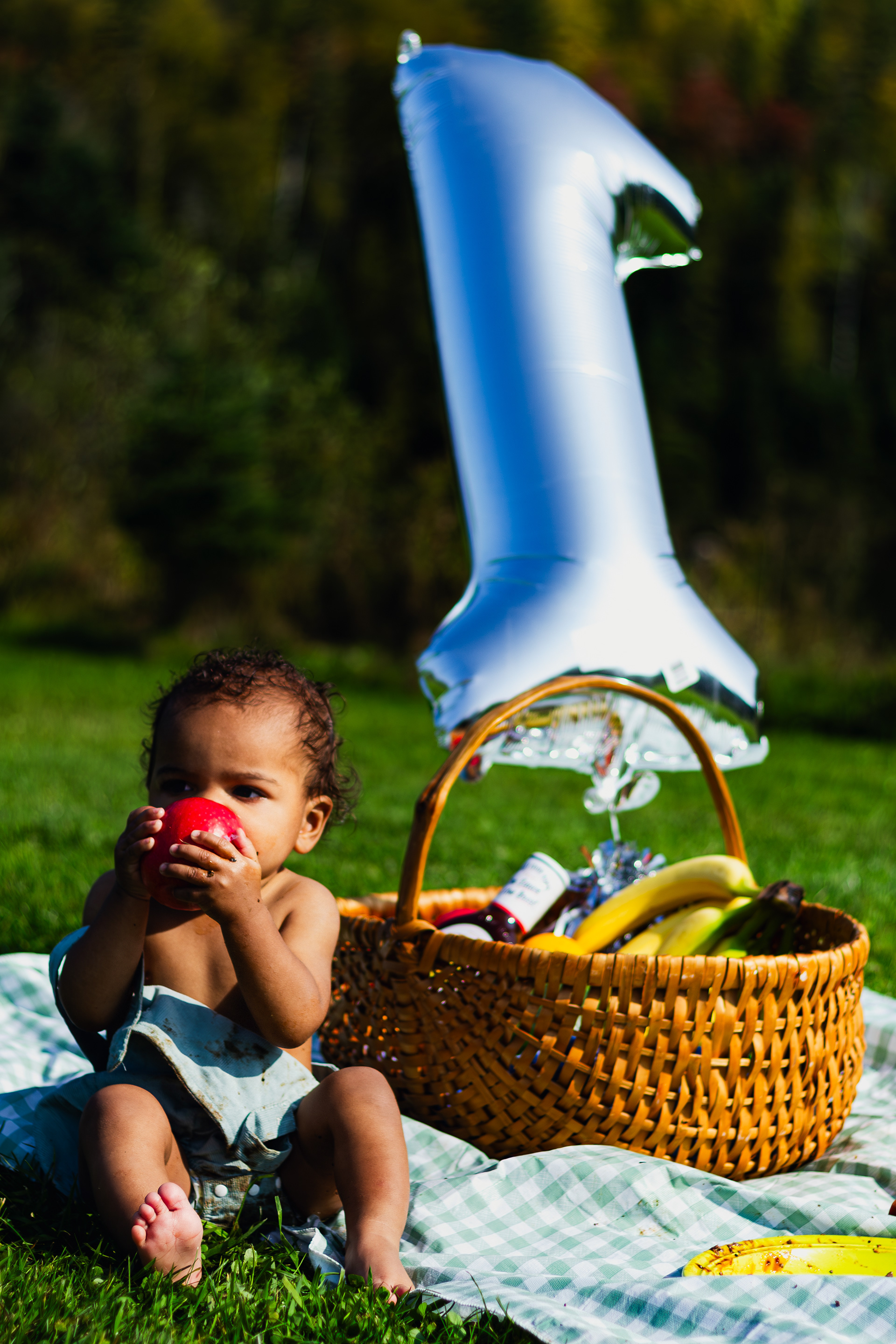 Child photography first birthday