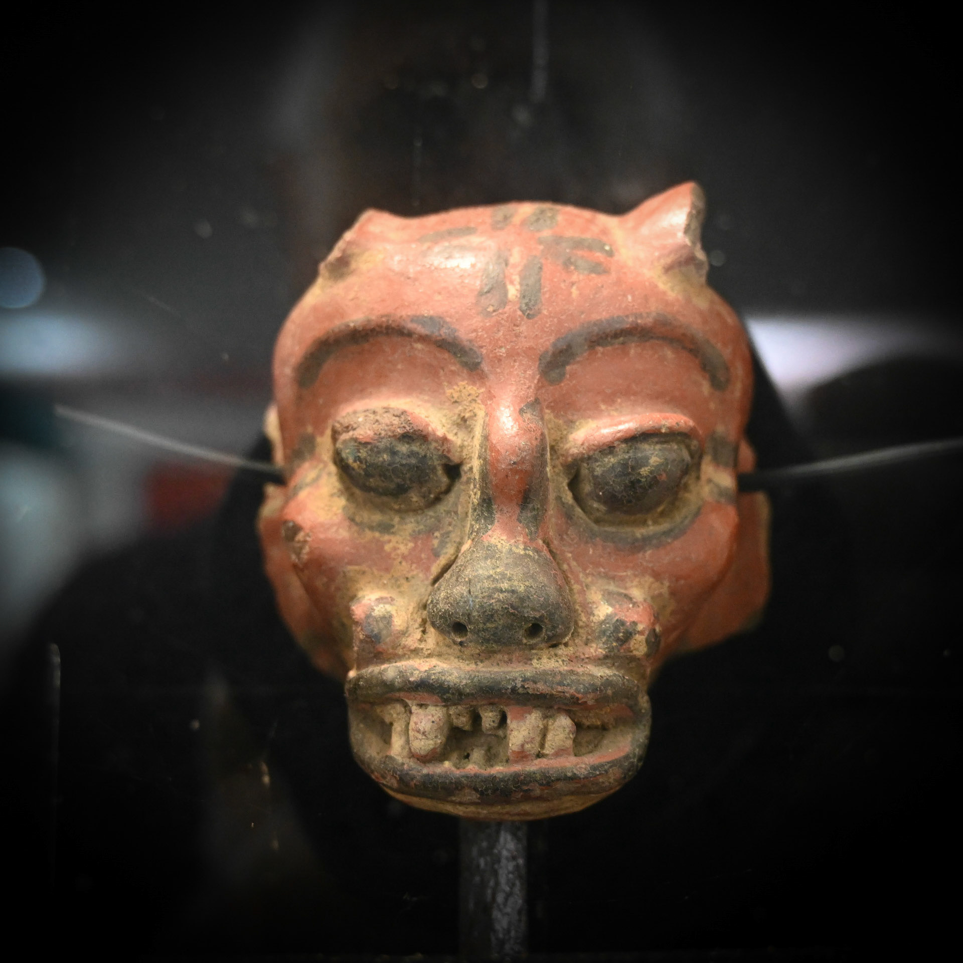 Museum Ceibo