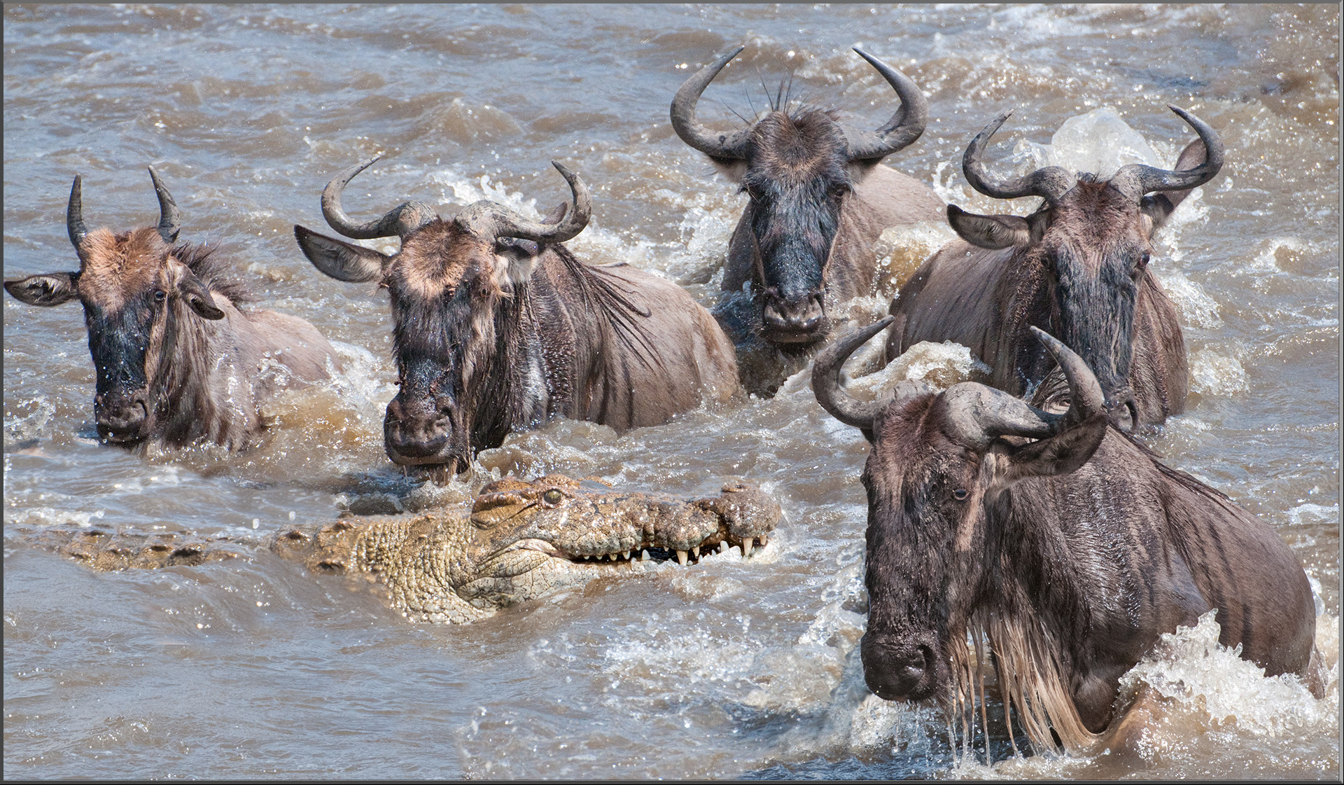 Crossing am Marariver