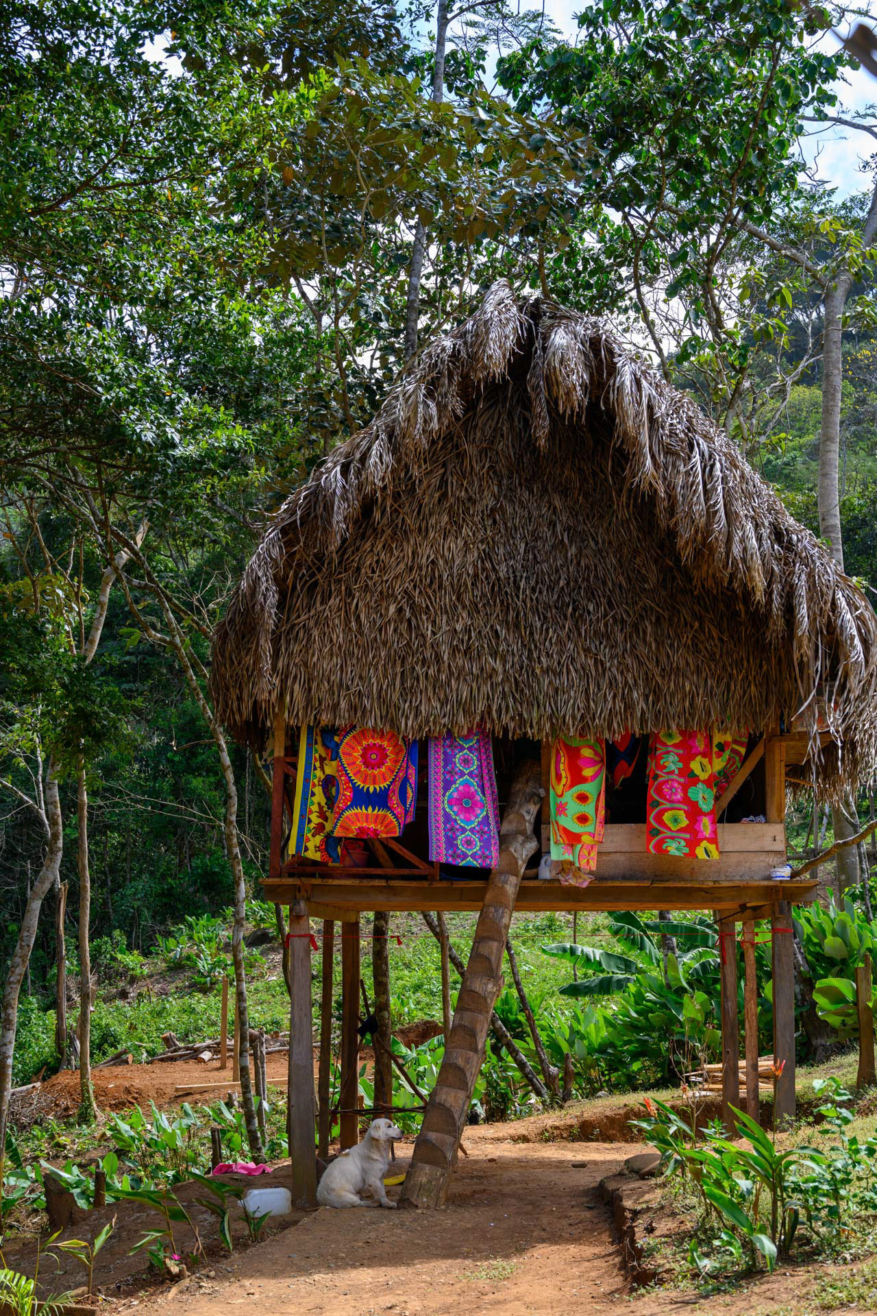 Indianerdorf Embera