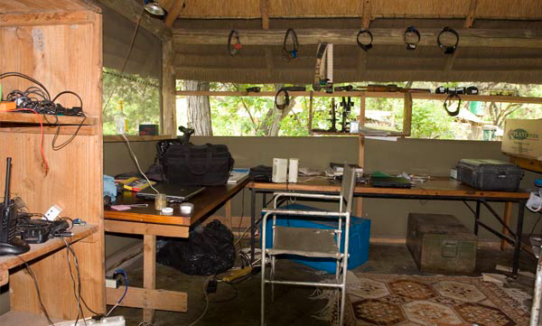 moderne GPS Halsbänder im Camp
