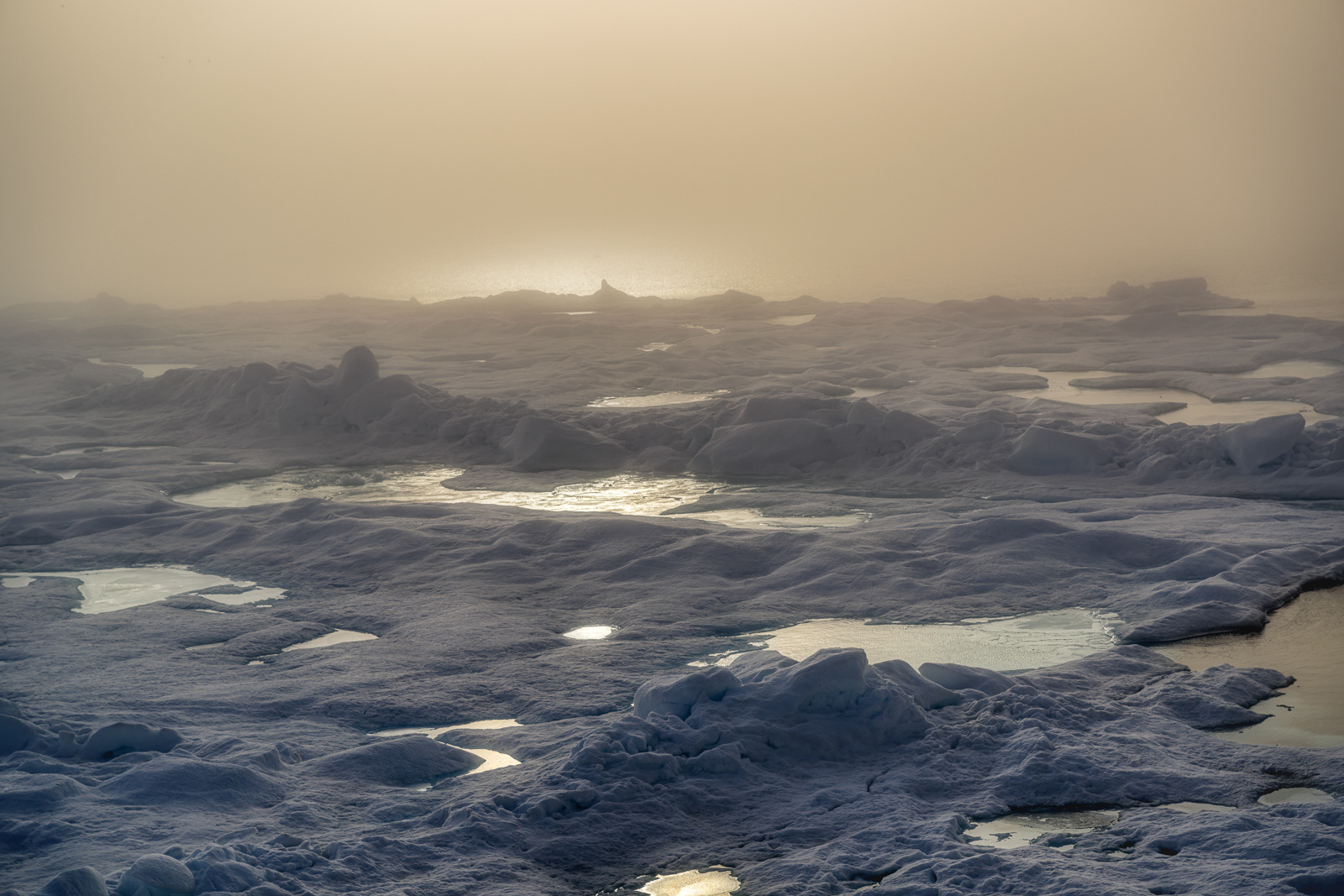 Auf dem Weg ins Polarmeer ist hier Schluss. Packeis und Nebel zwingen zum Umkehren - 77° 46.7‘ Nord / 070° 38.7‘ West - Dichtes Packeis und Nebel zwingen uns zum Umkehren