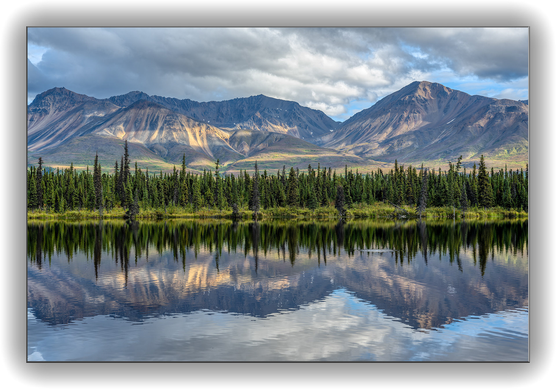 Am Denali Highway
