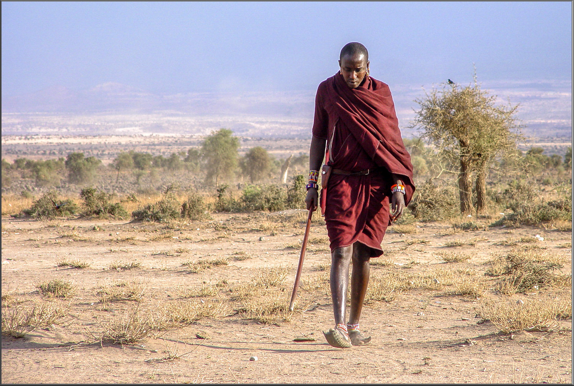 Amboseli NP